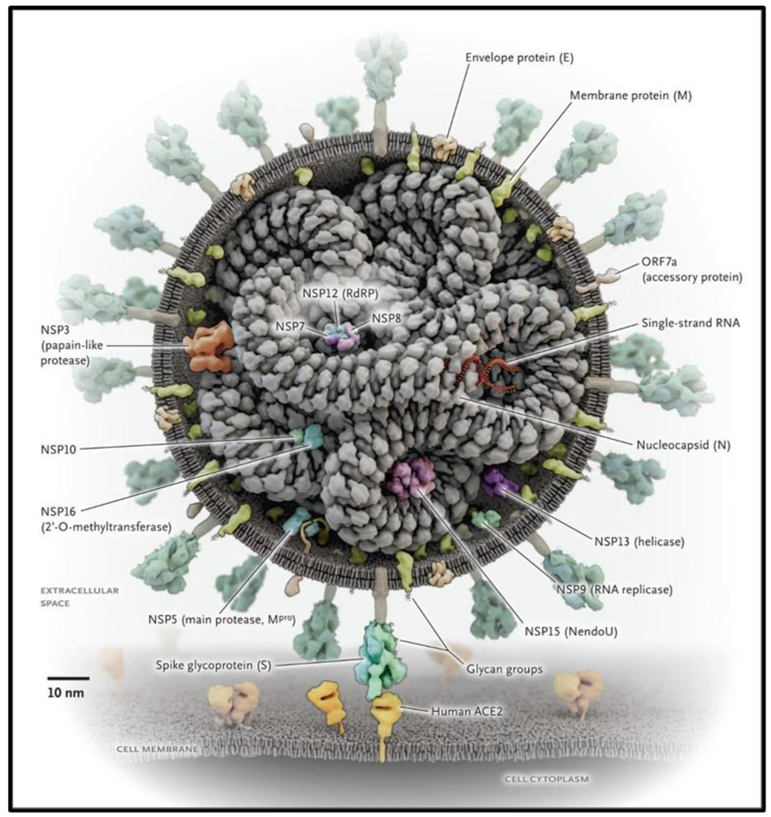 Brainsci 13 01137 g001 Brainsci 13 01137 g001