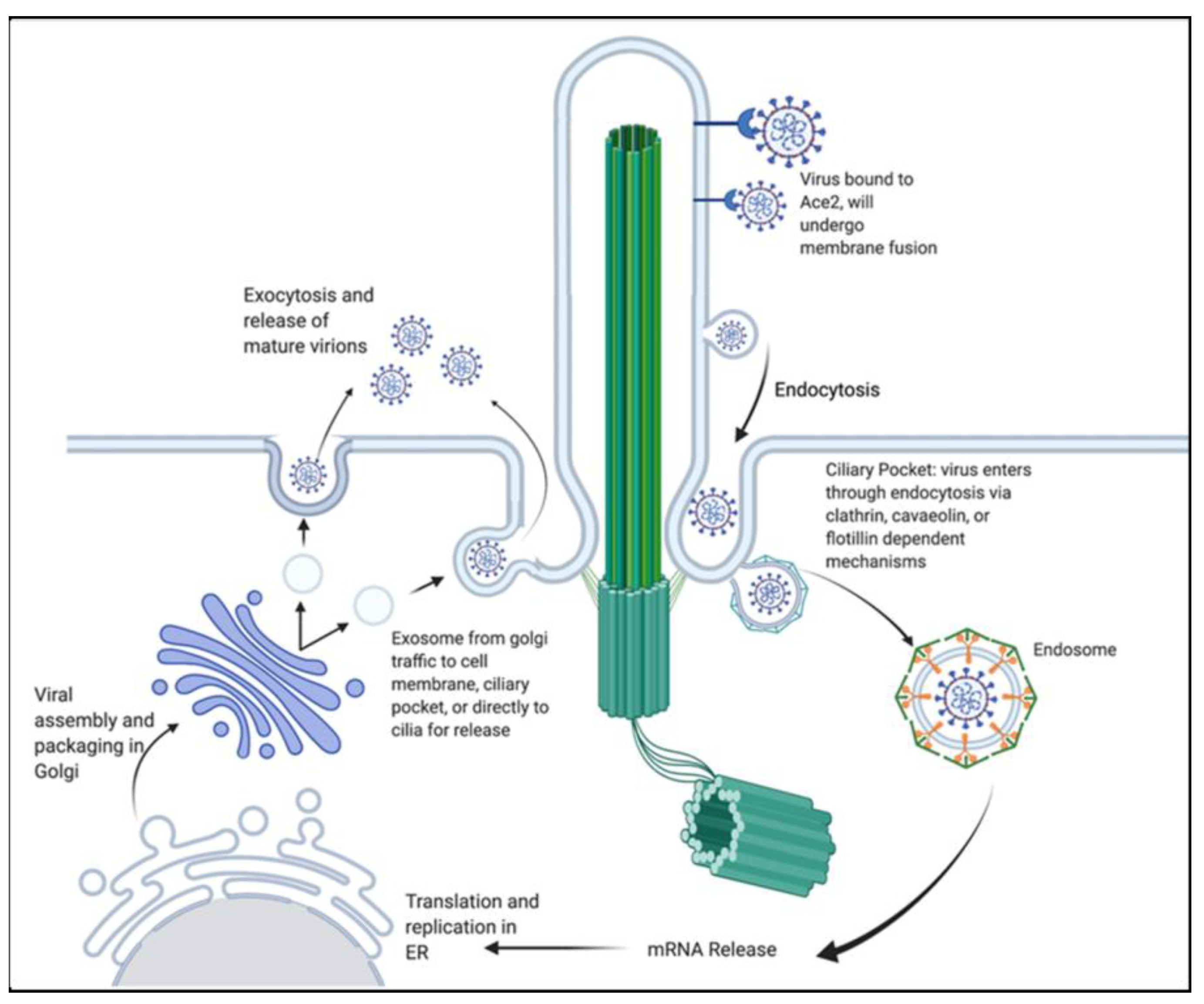 Brainsci 13 01137 g003 Brainsci 13 01137 g003