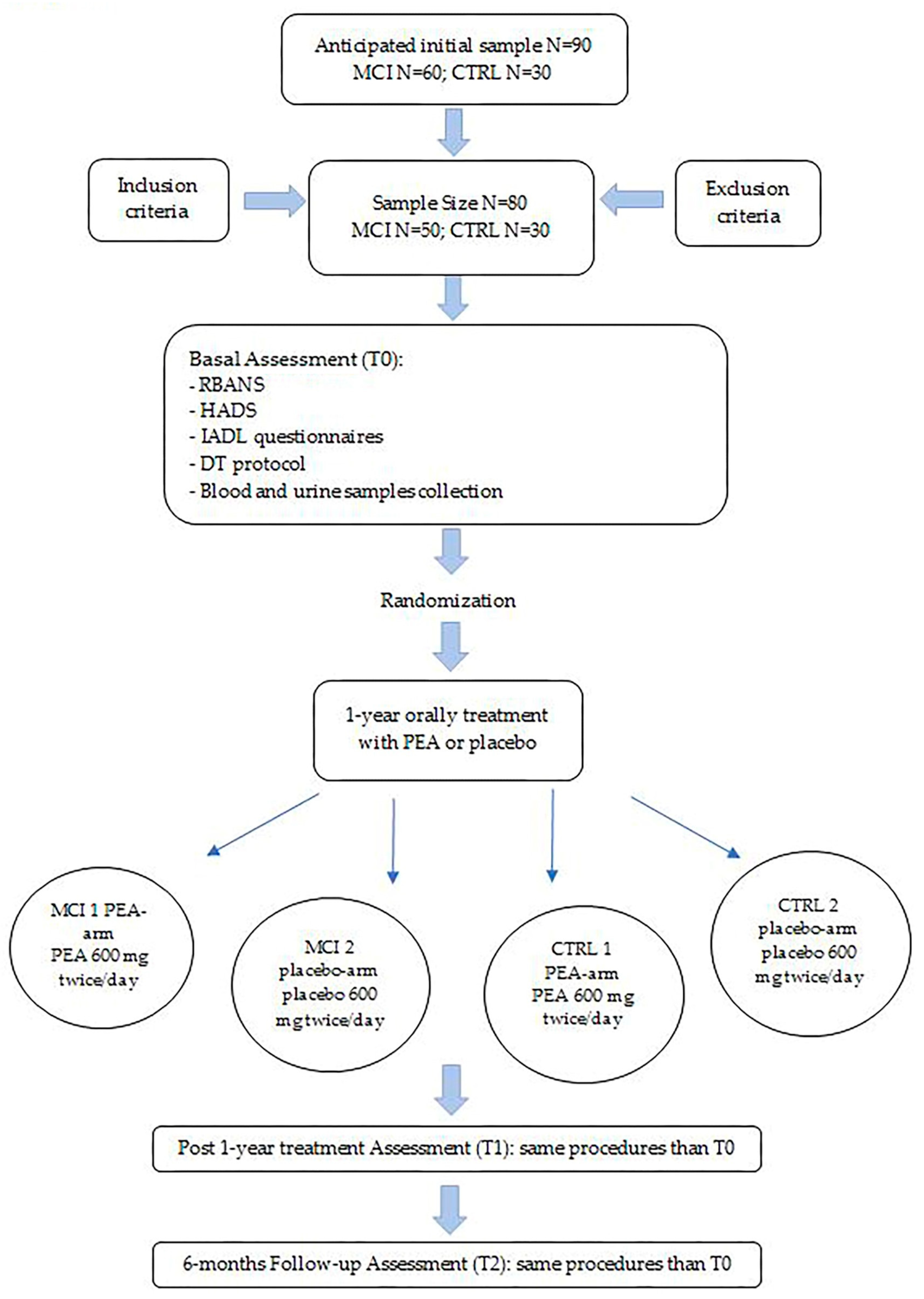Brainsci 13 01138 g001 Brainsci 13 01138 g001