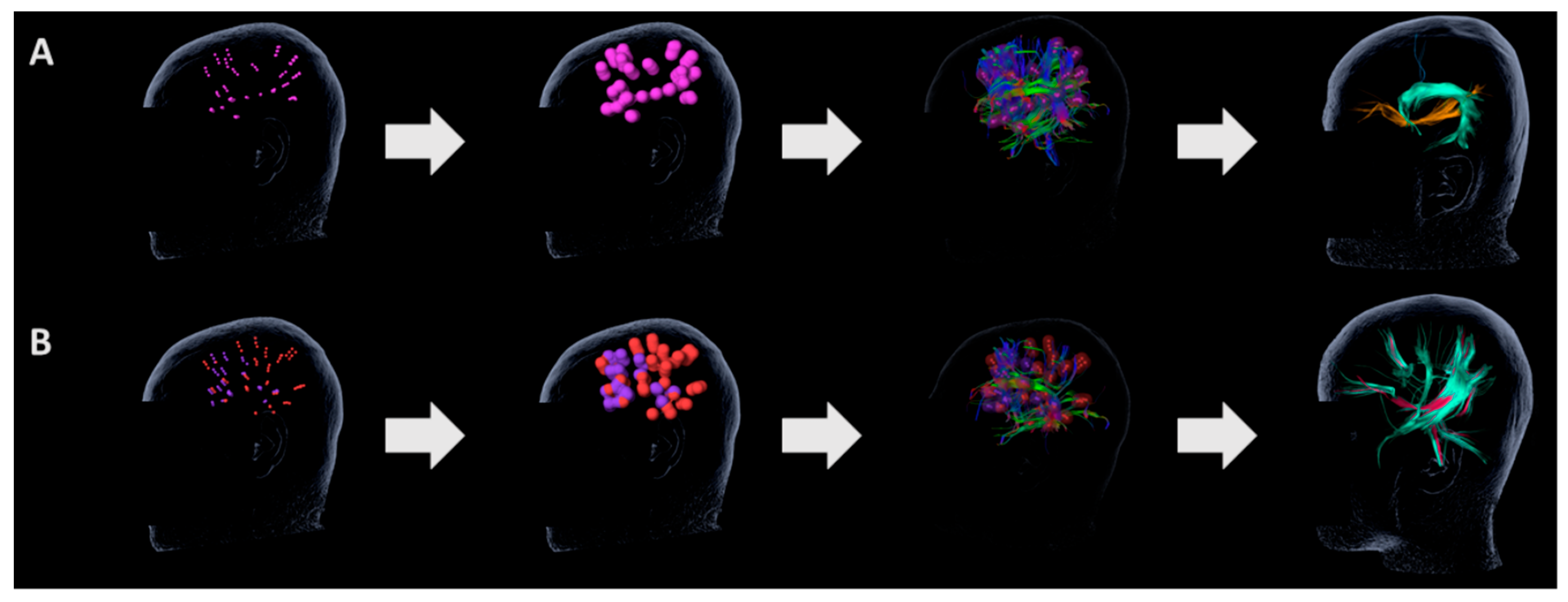 Brainsci 13 01141 g001