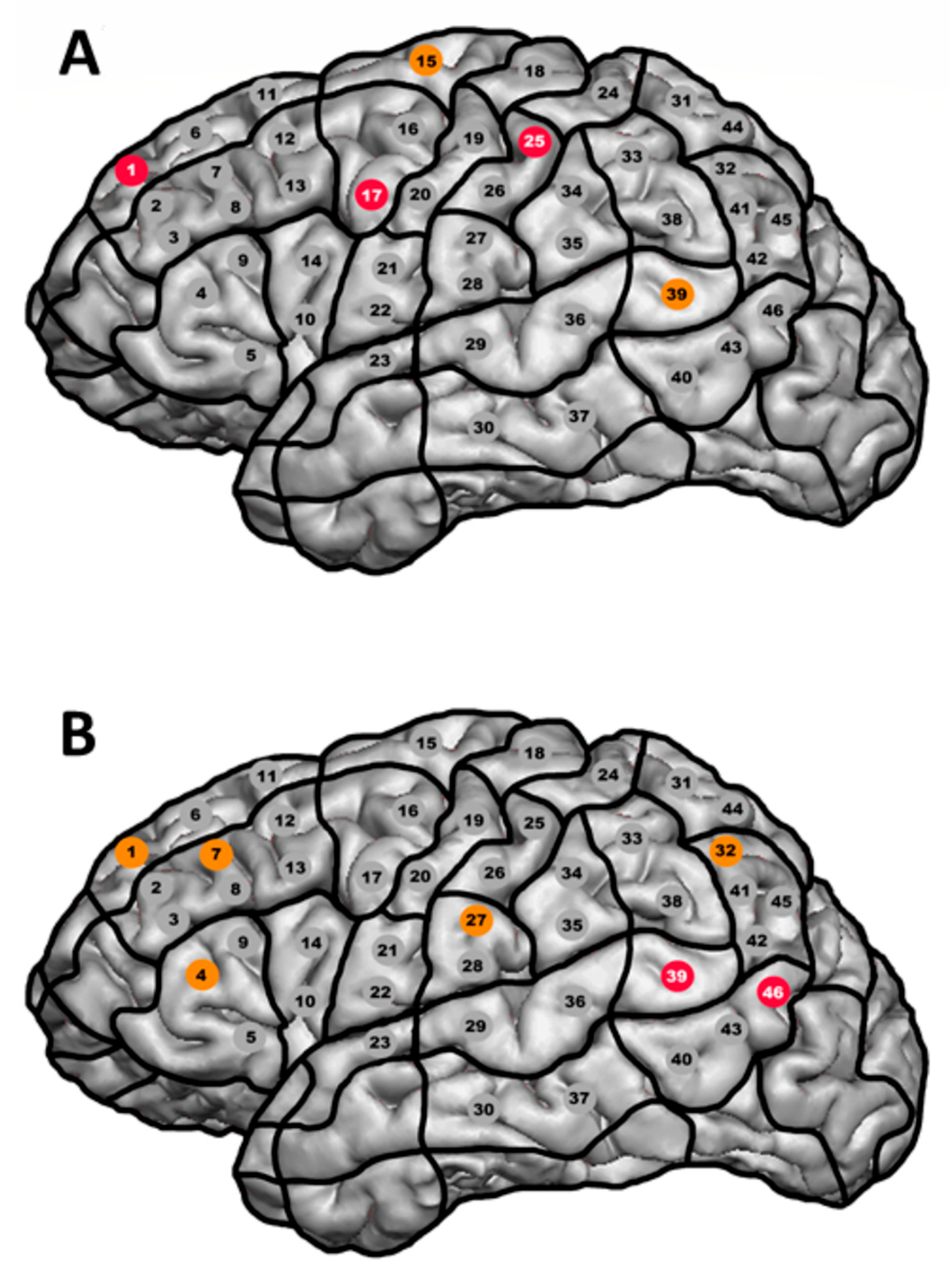 Brainsci 13 01141 g003