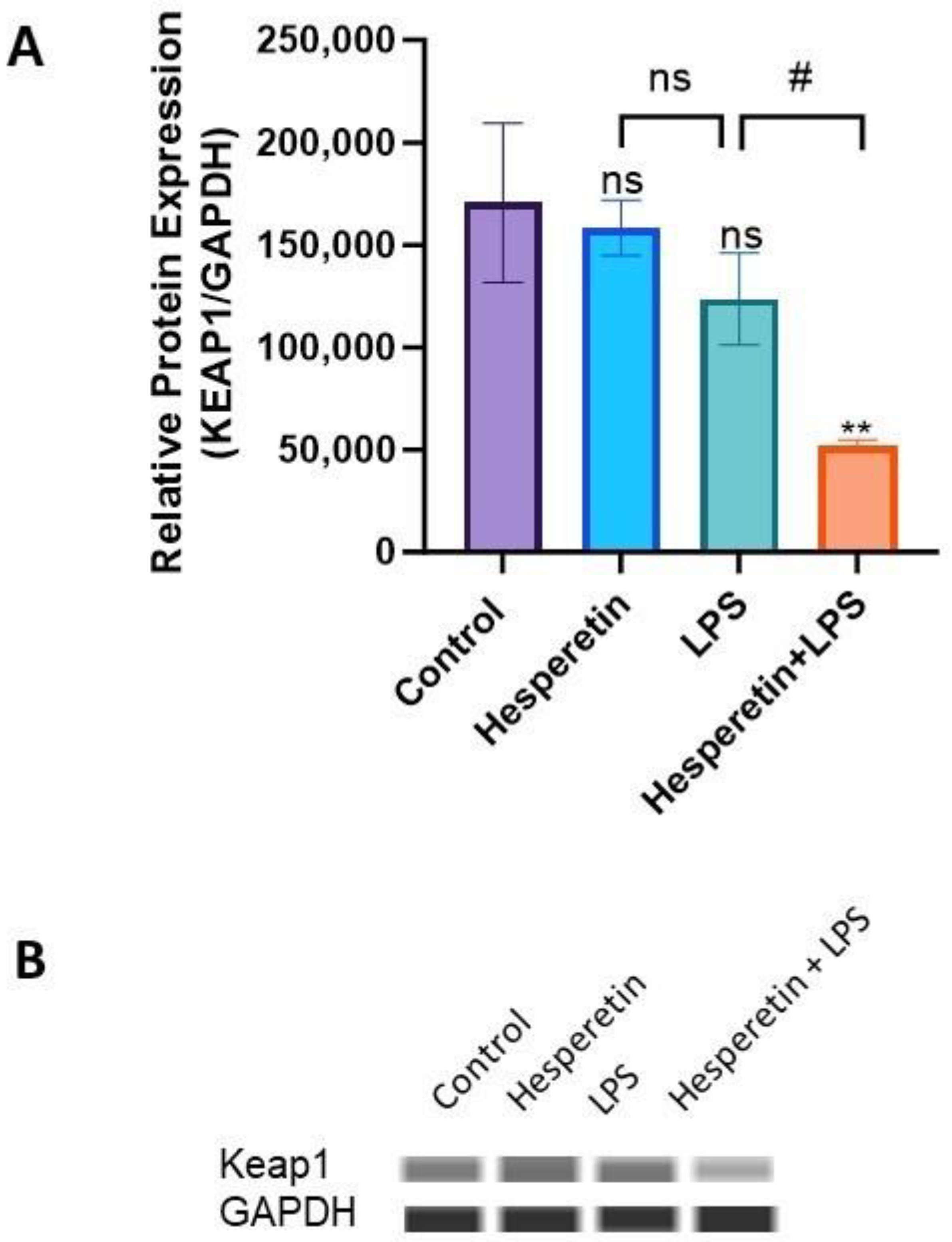 Brainsci 13 01144 g010