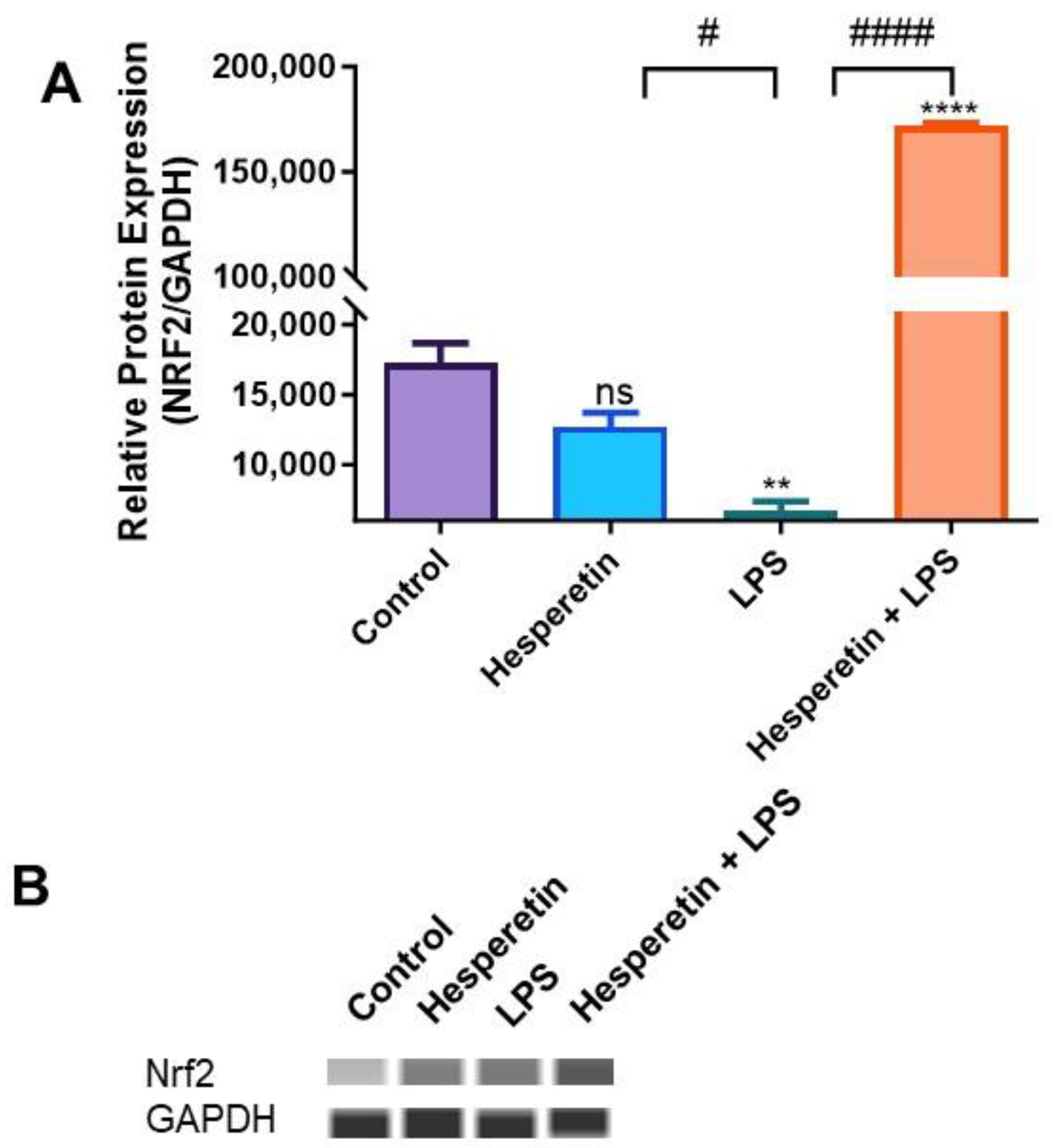 Brainsci 13 01144 g011