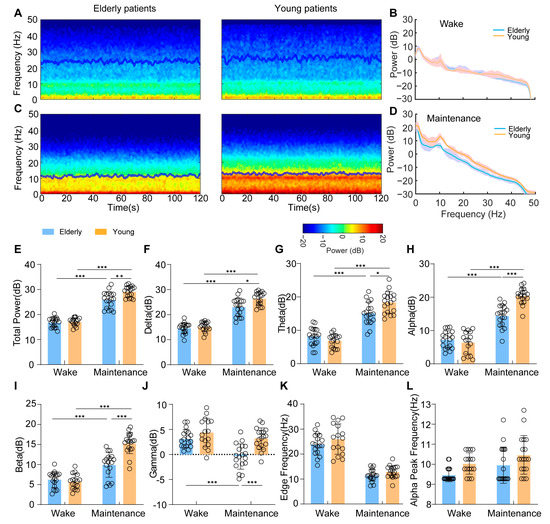 Differences in the EEG Power Spectrum and Cross-Frequency Coupling