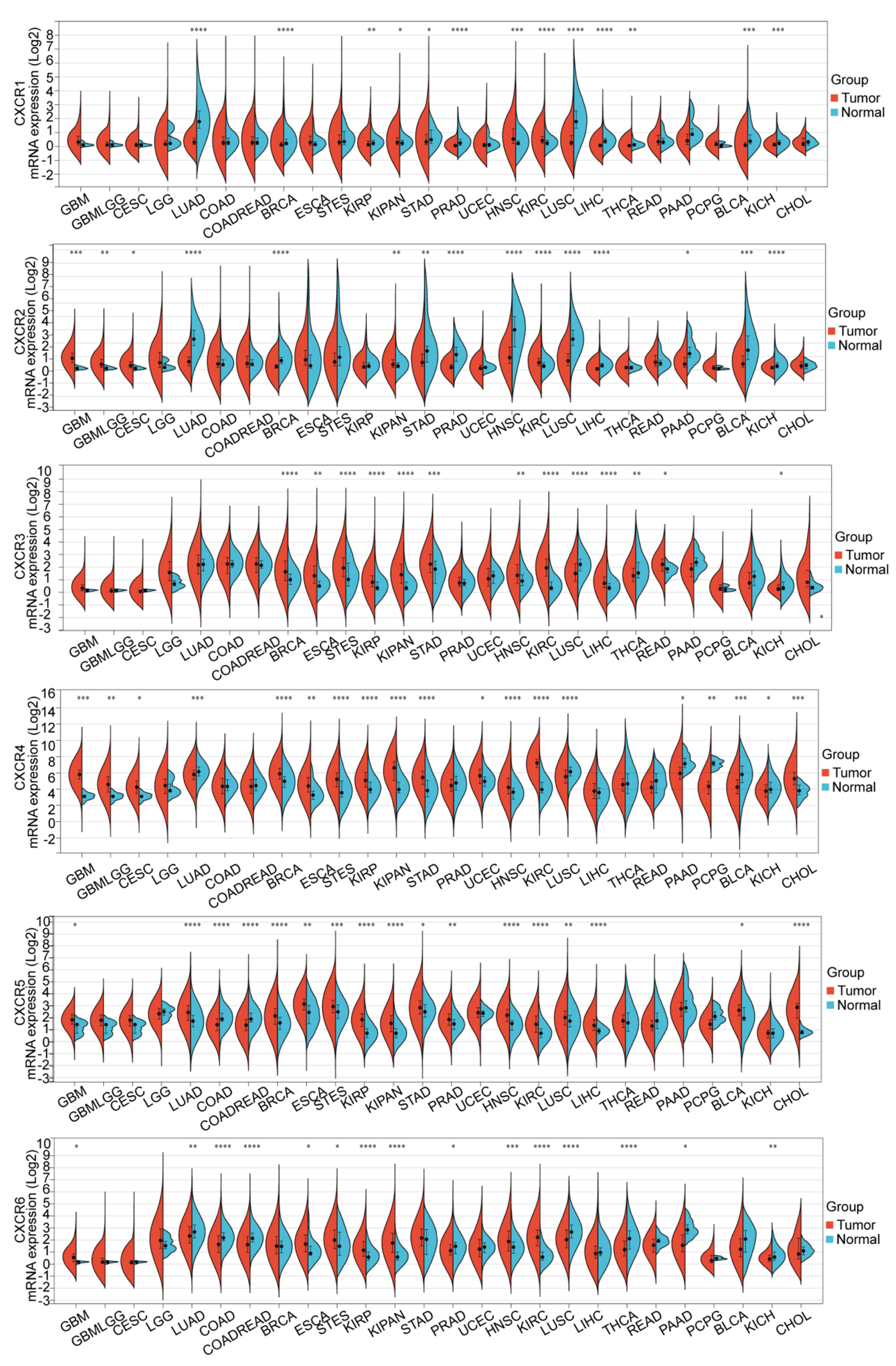 Brainsci 13 01152 g001