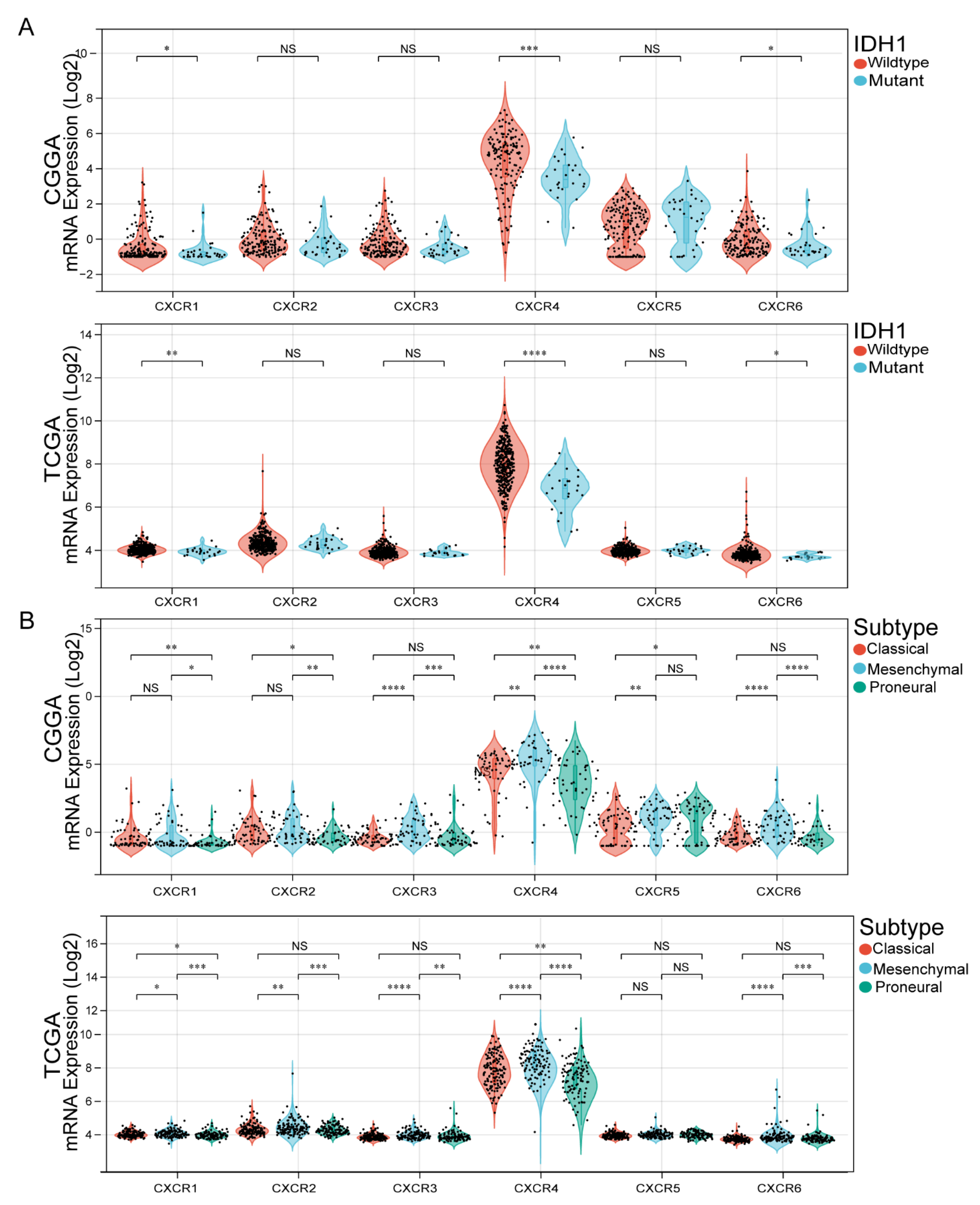 Brainsci 13 01152 g003