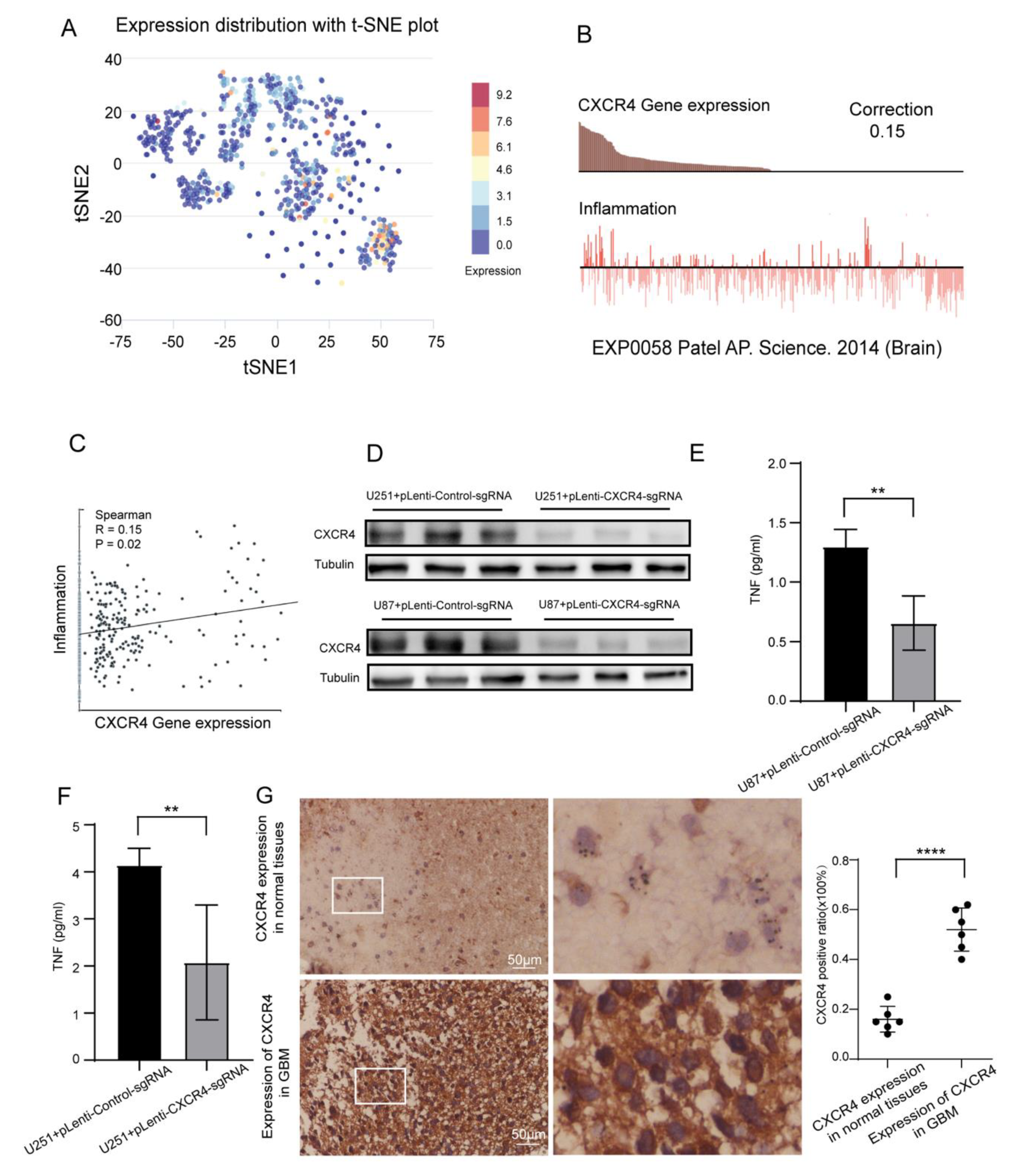 Brainsci 13 01152 g008