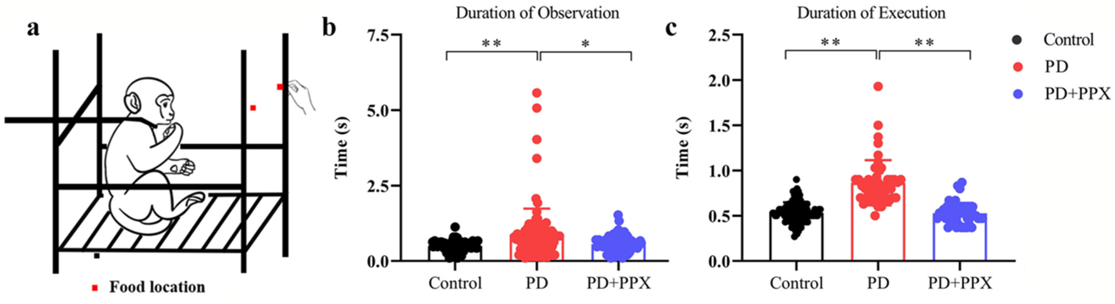 Brainsci 13 01153 g003 Brainsci 13 01153 g003