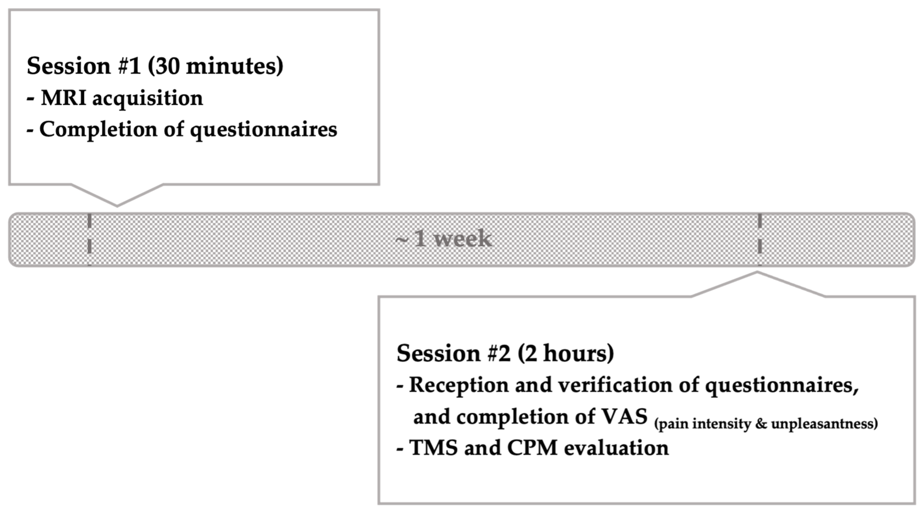 Brainsci 13 01154 g001