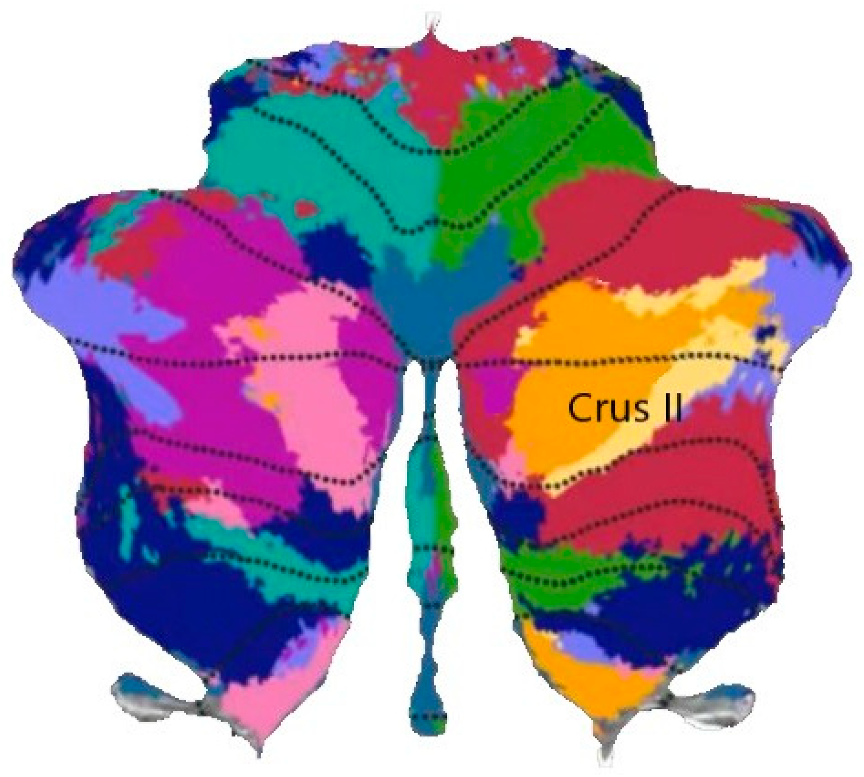 Brainsci 13 01158 g002 Brainsci 13 01158 g002