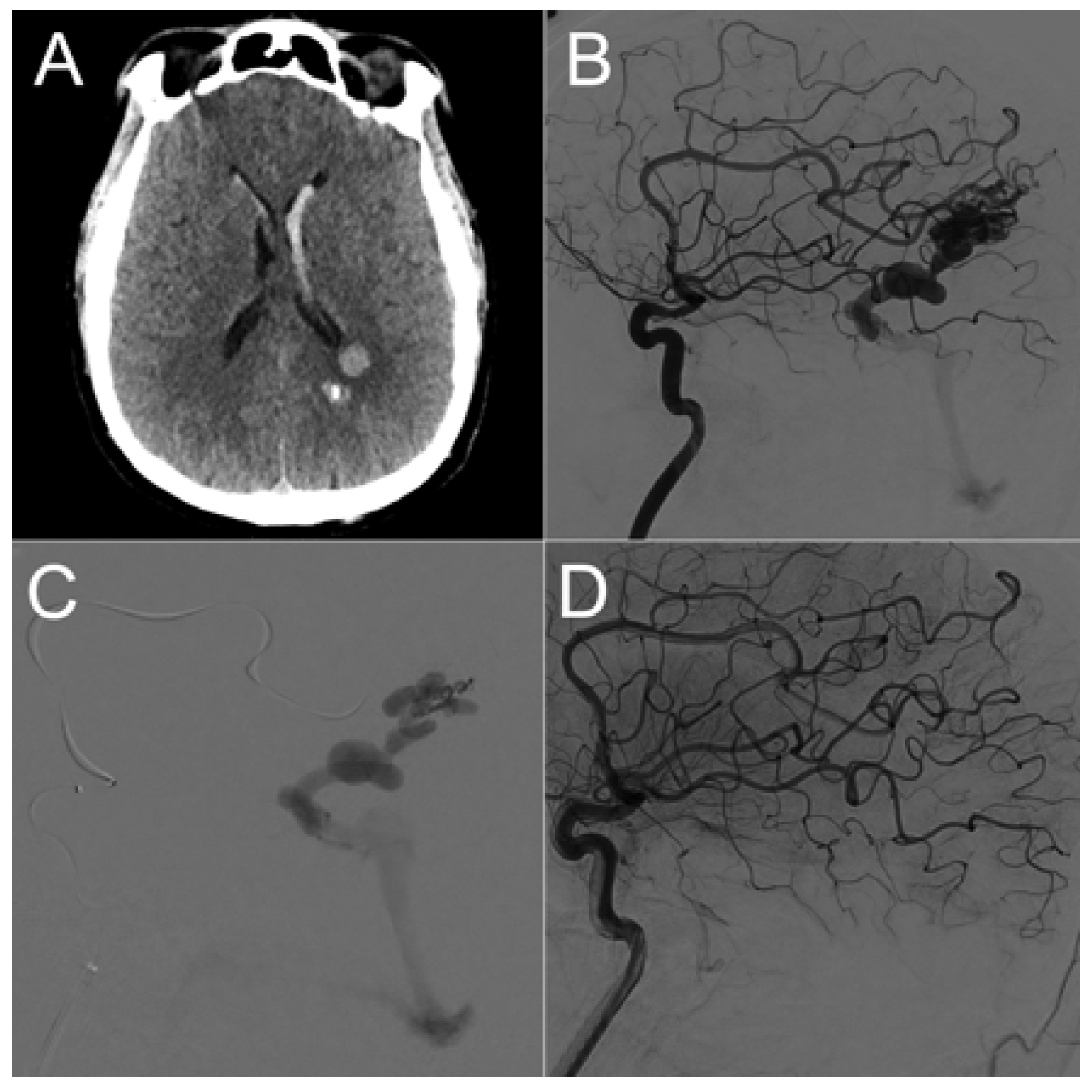 Brainsci 13 01159 g003 Brainsci 13 01159 g003