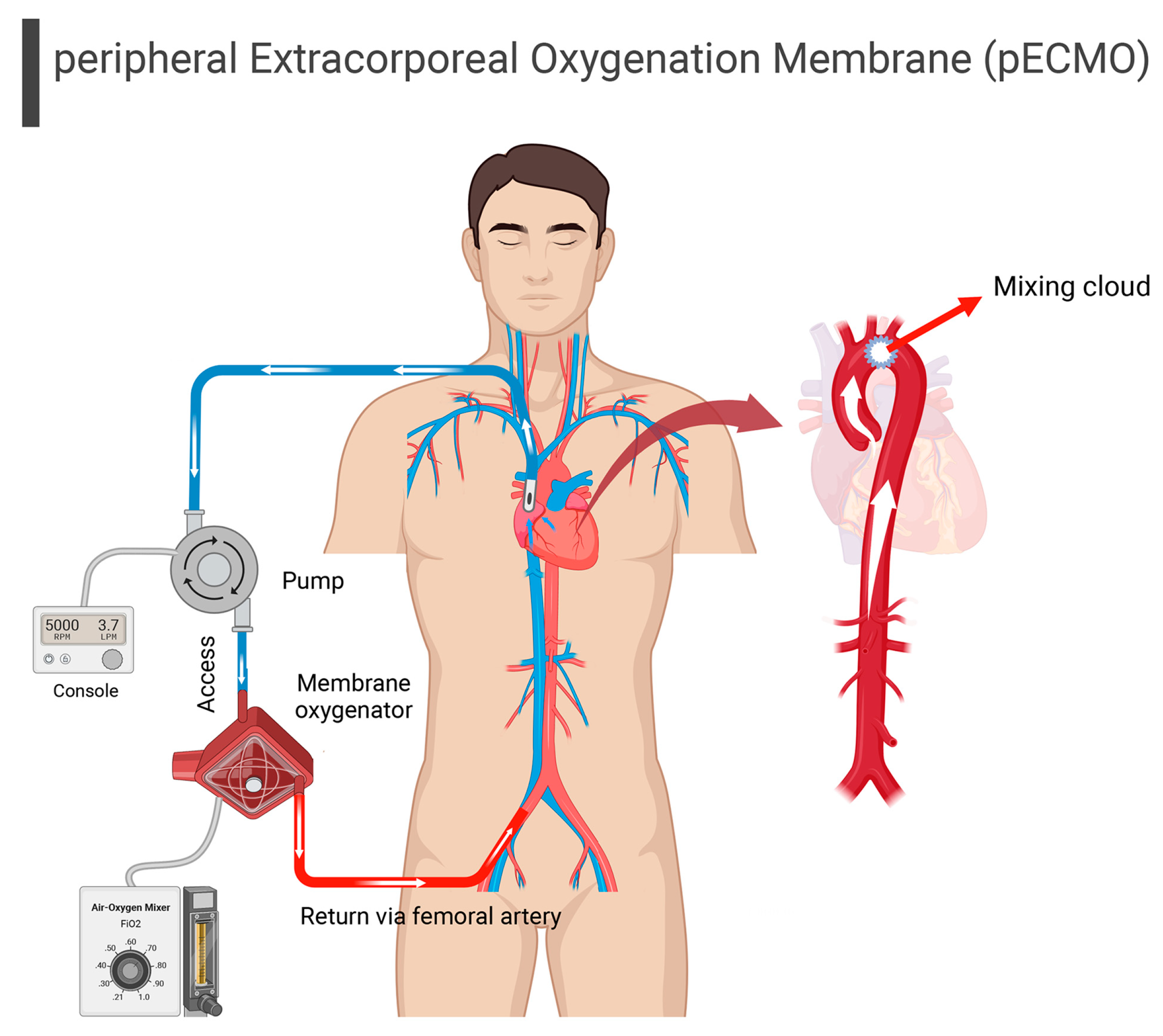 Brainsci 13 01165 g003
