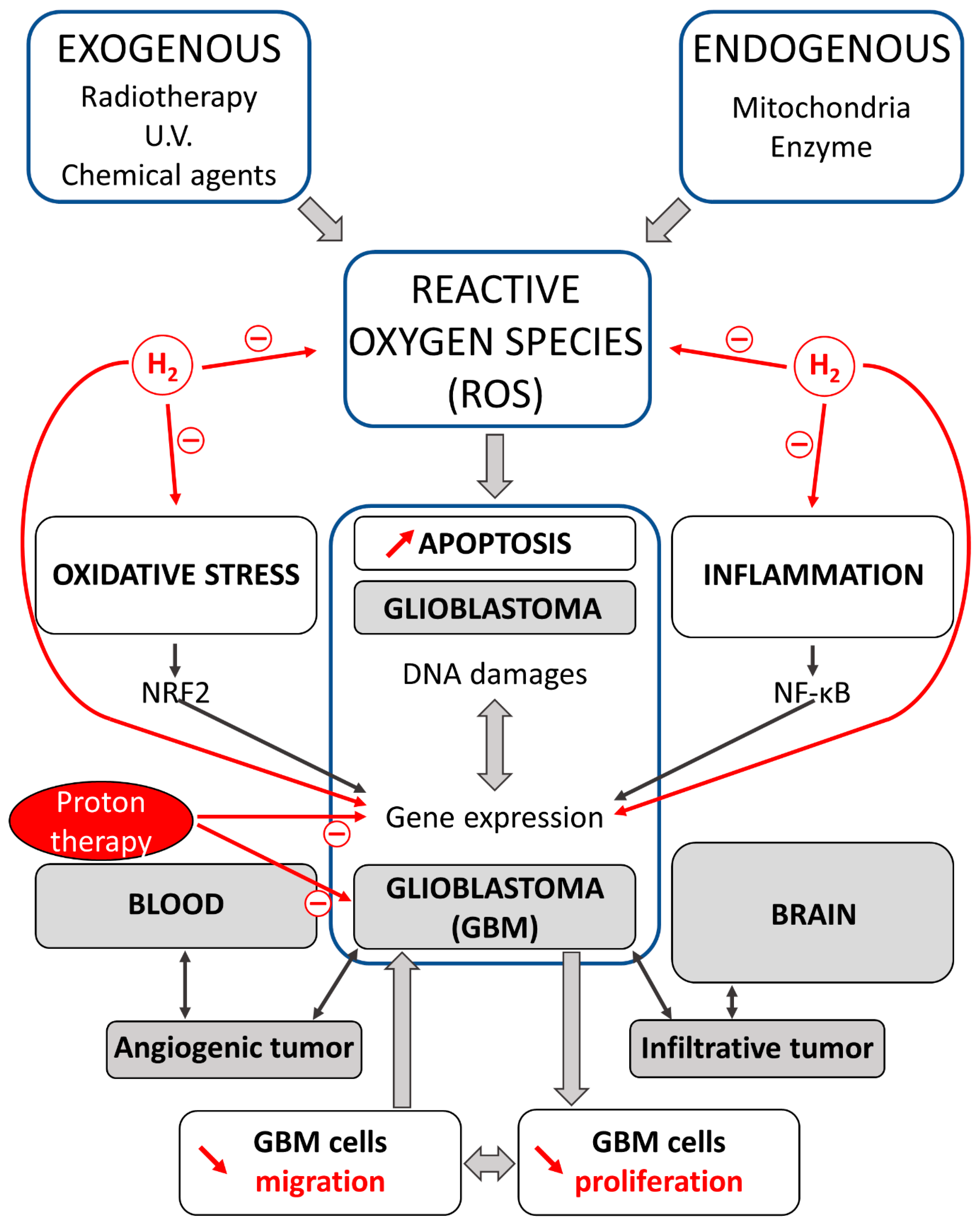 Brainsci 13 01168 g001 Brainsci 13 01168 g001