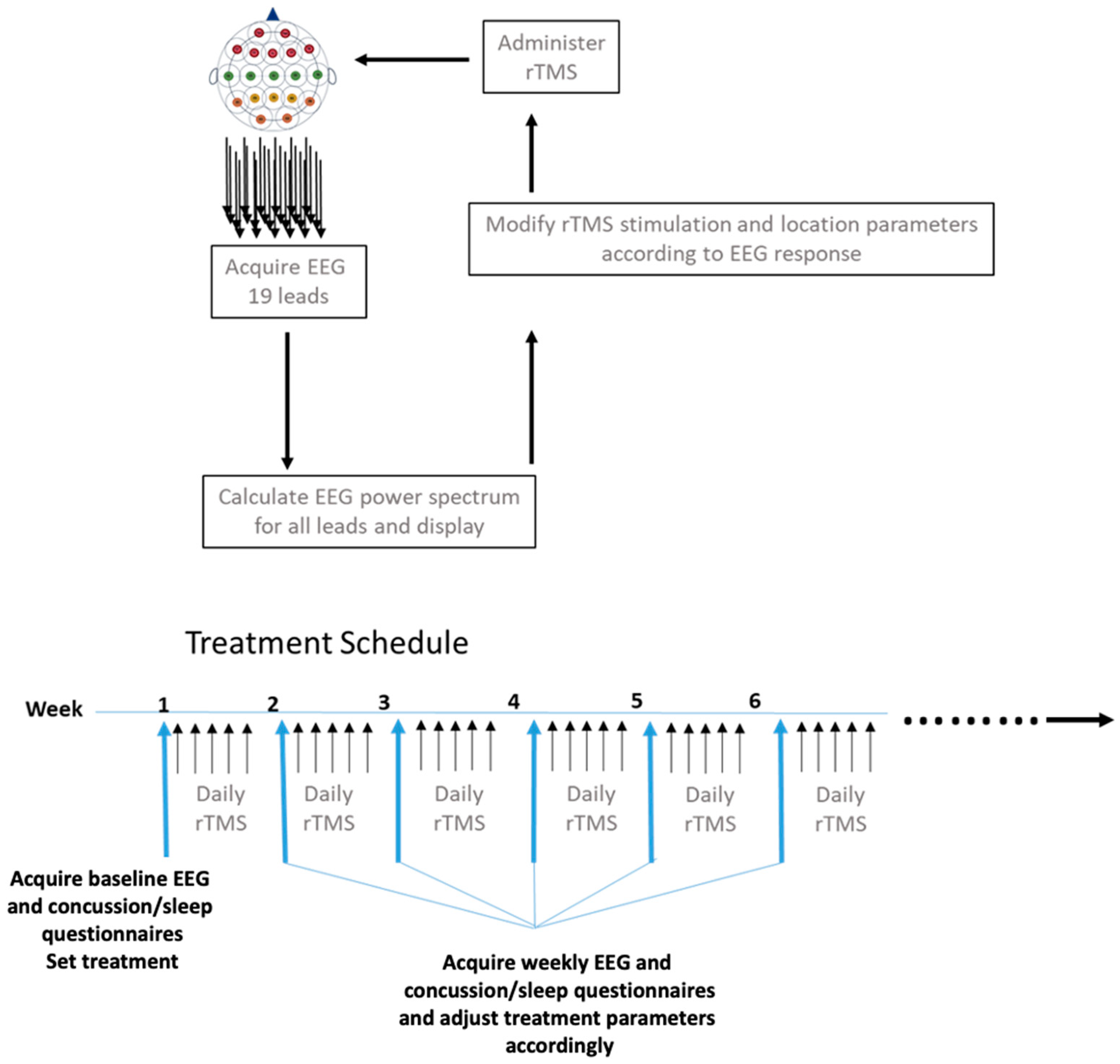 Brainsci 13 01179 g001 Brainsci 13 01179 g001