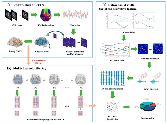 Characterizing Topological Properties of Brain Functional