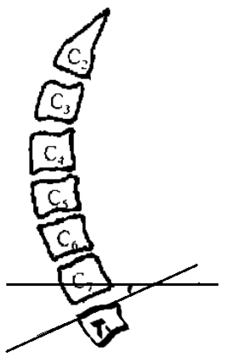 Brainsci 13 01189 g001