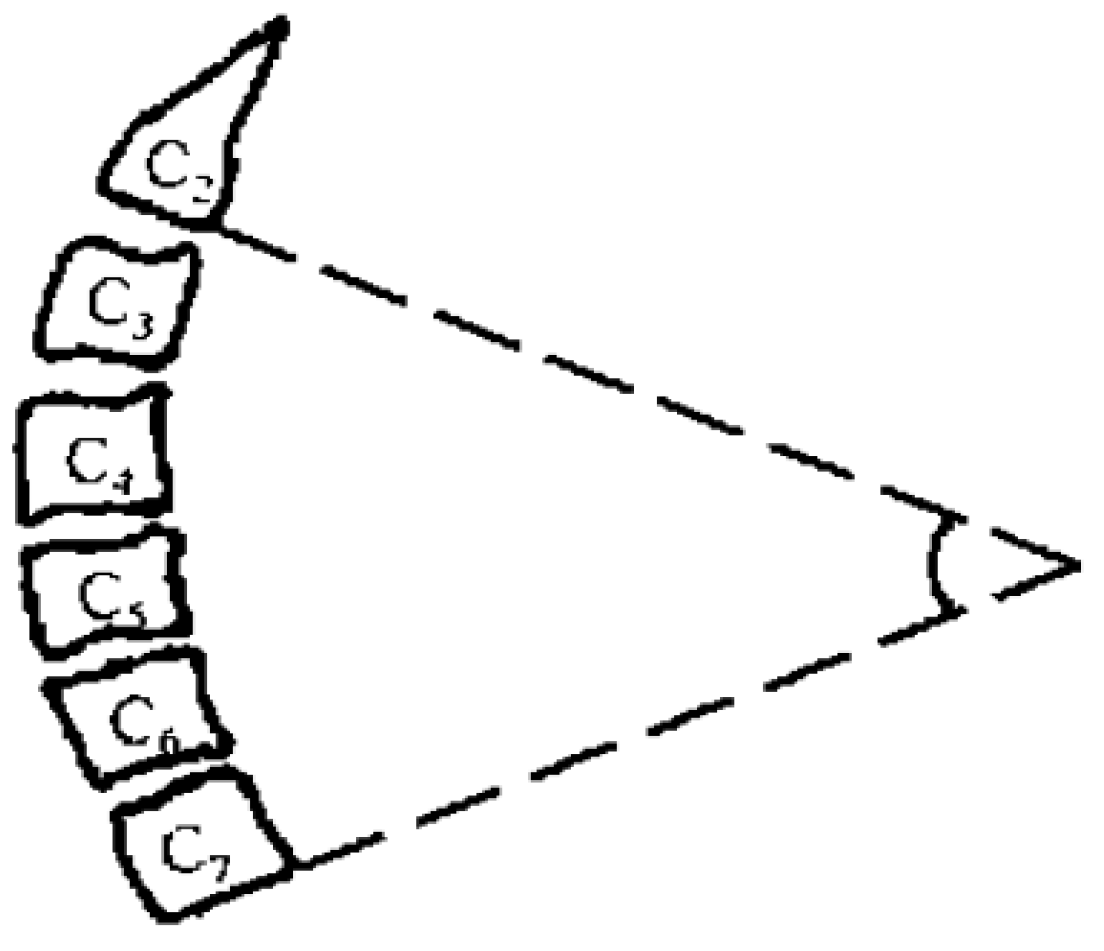 Brainsci 13 01189 g002