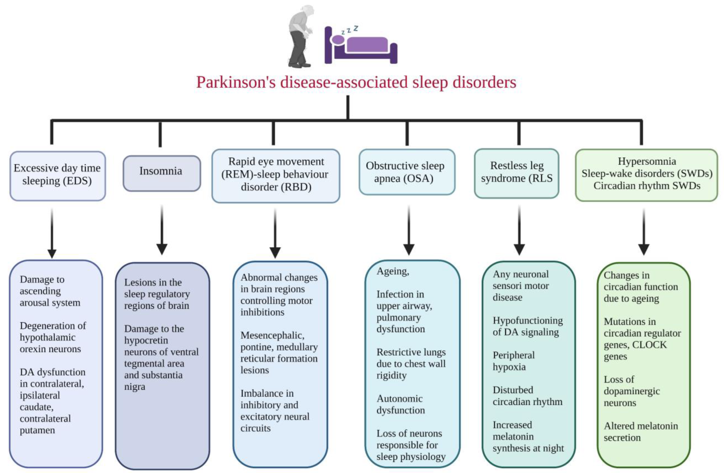 Brainsci 13 01202 g001 Brainsci 13 01202 g001