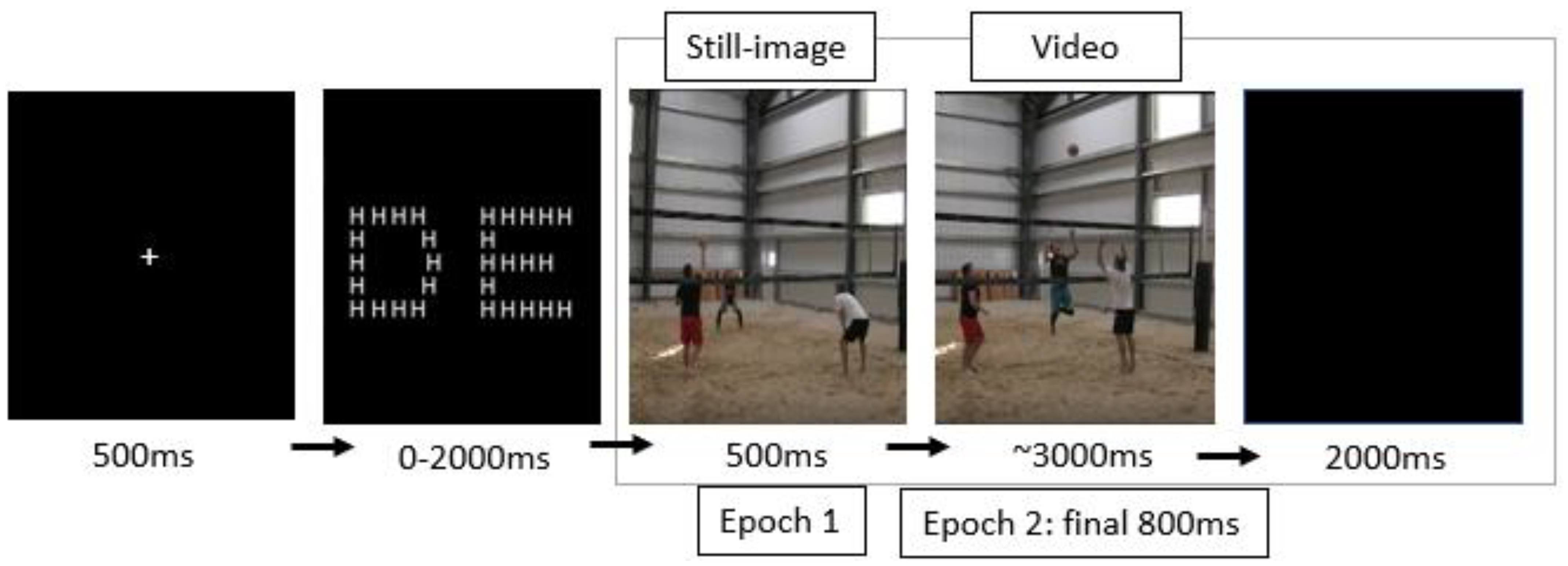 Brain Sciences Free Full-Text Skilled Performers Show Right Parietal Lateralization during Anticipation of Volleyball Attacks pic