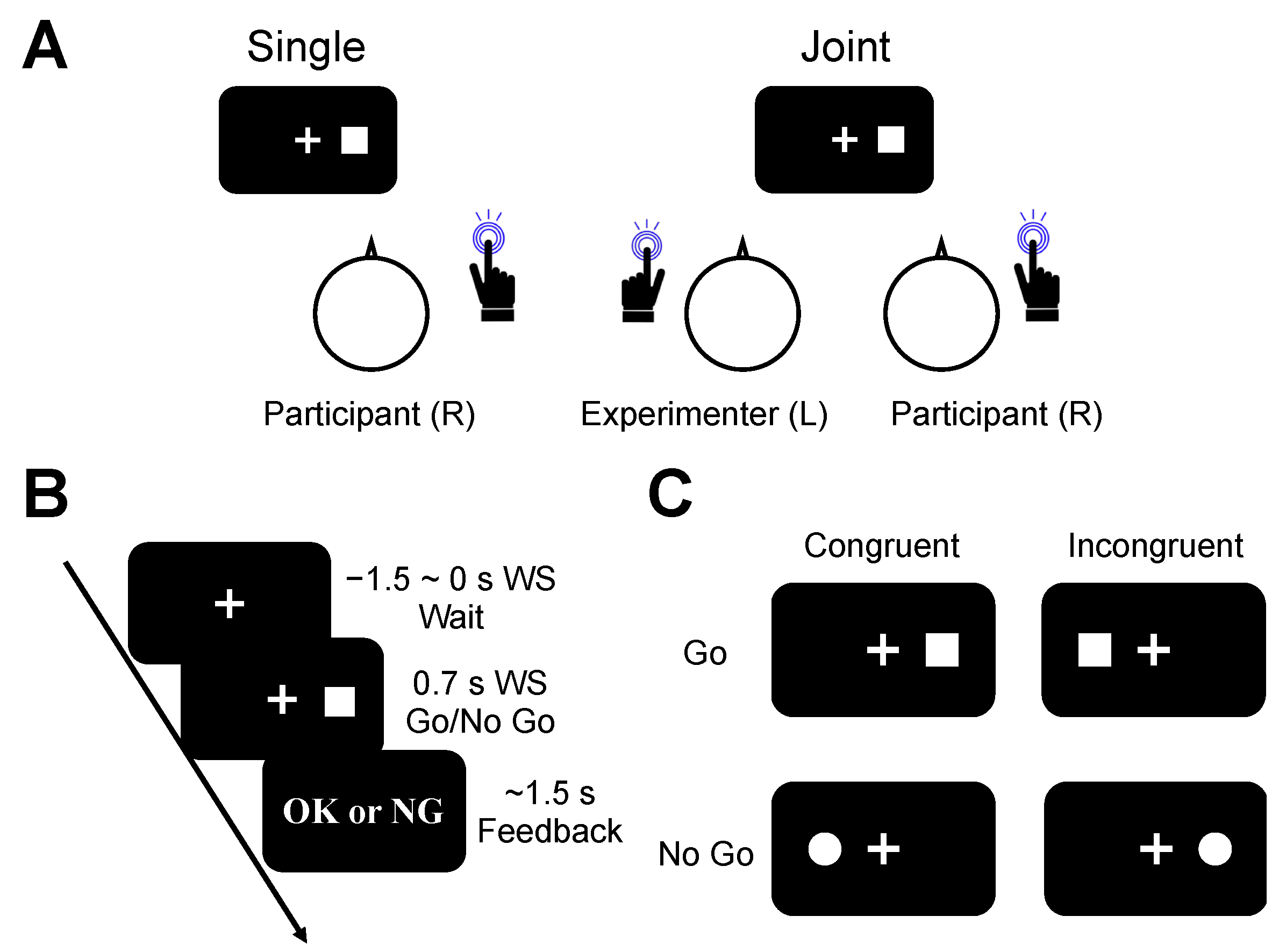 Brainsci 13 01207 g001 Brainsci 13 01207 g001