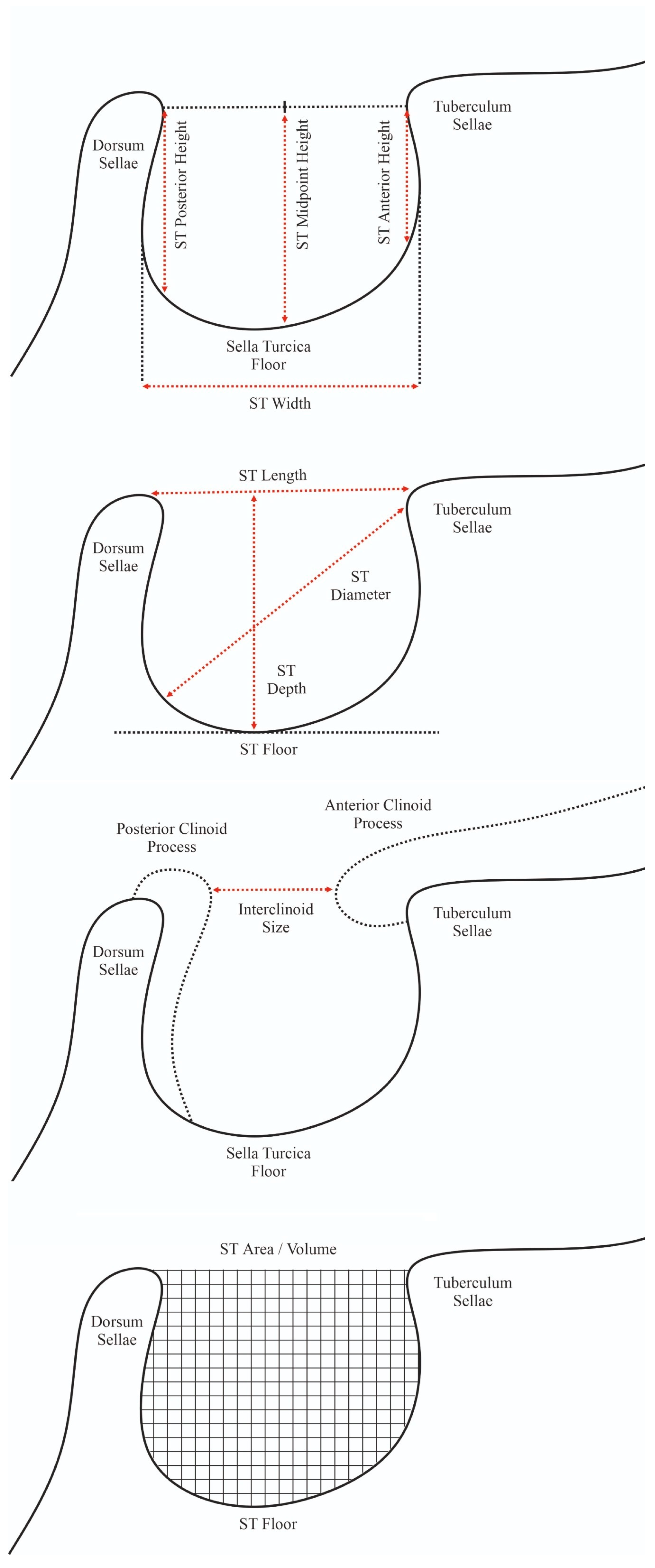 Brainsci 13 01208 g003 Brainsci 13 01208 g003