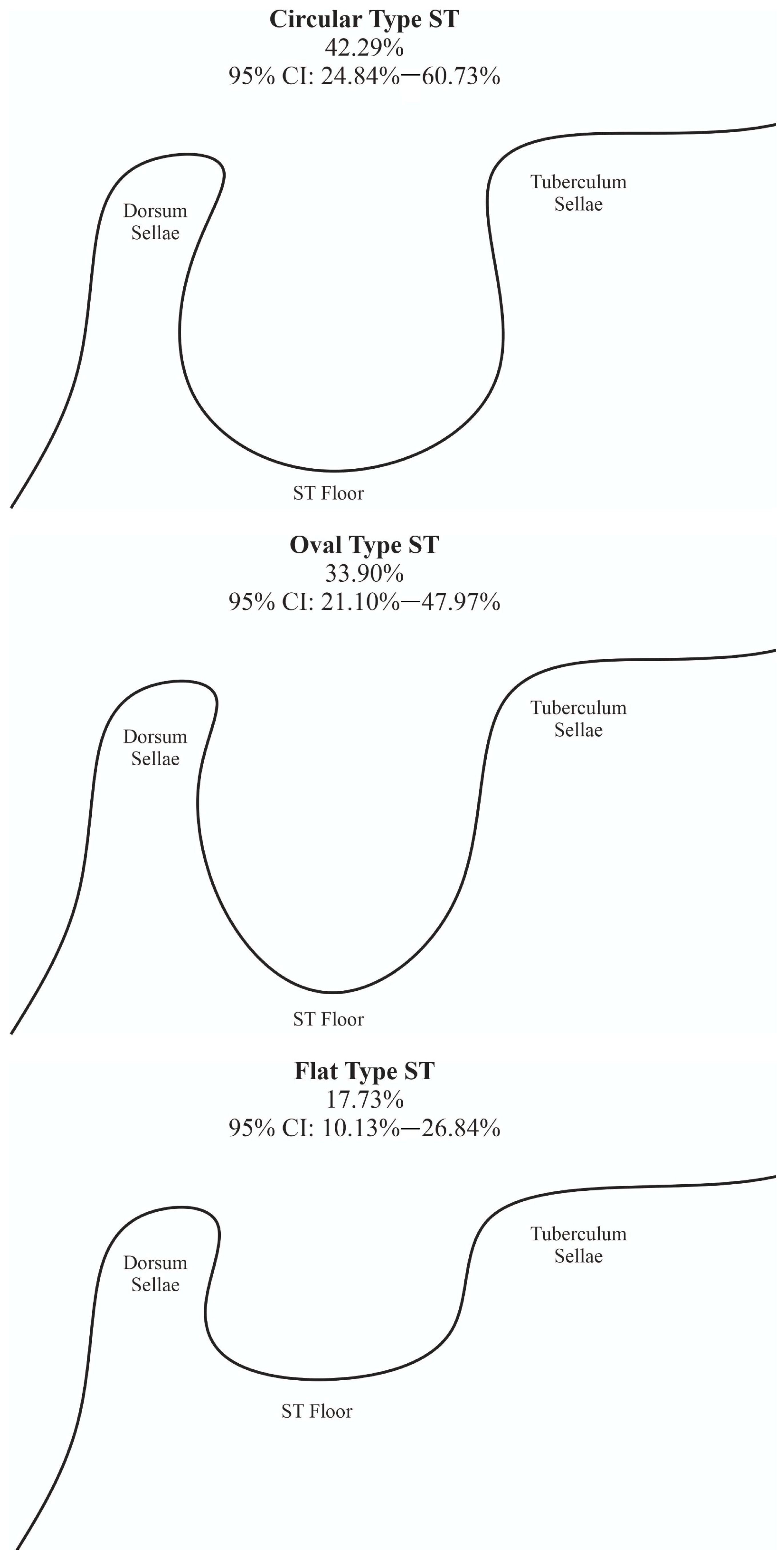 Brainsci 13 01208 g004 Brainsci 13 01208 g004