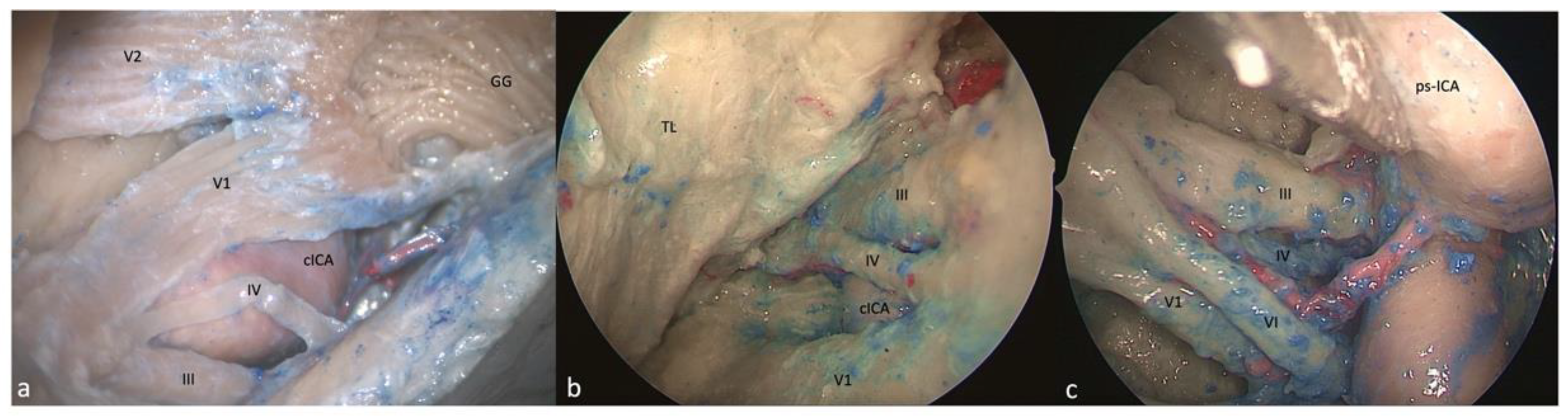 Brainsci 13 01215 g003