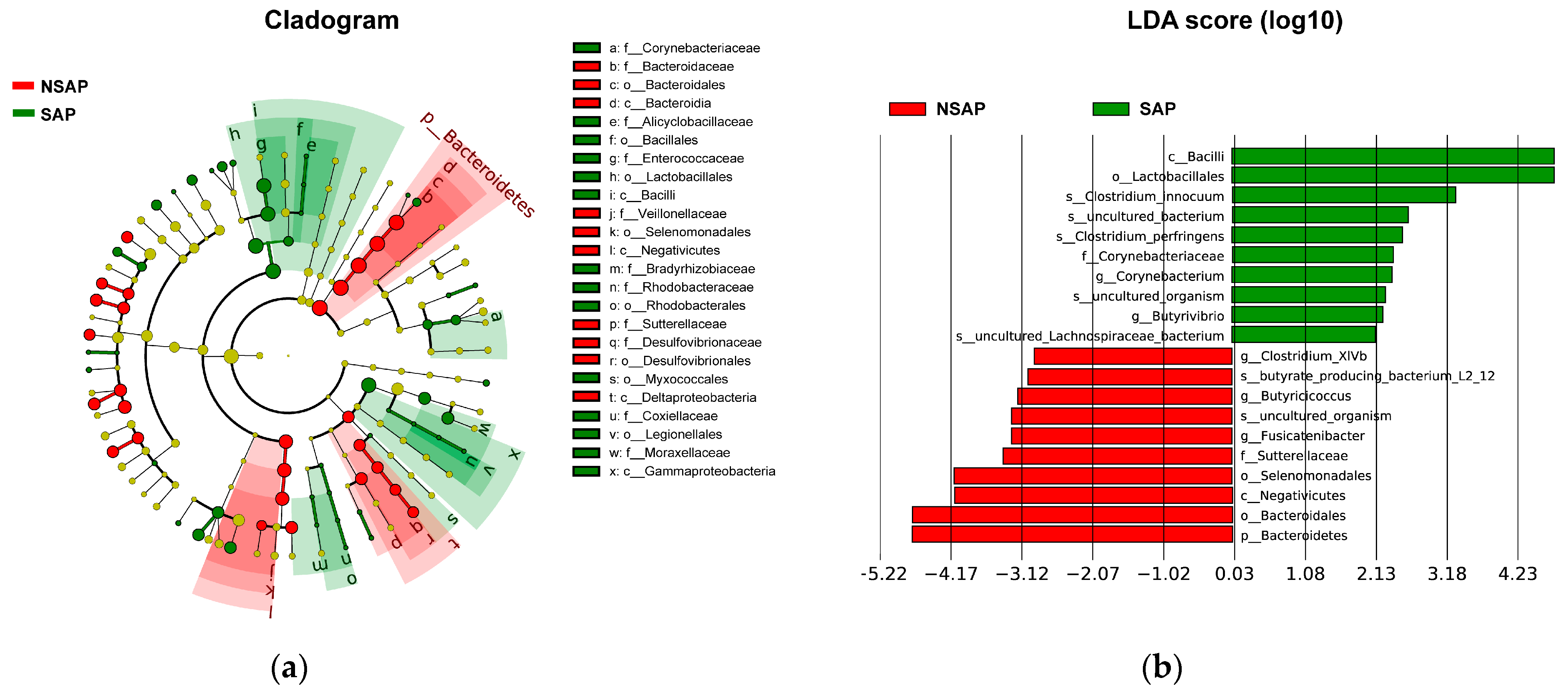 Brainsci 13 01217 g003