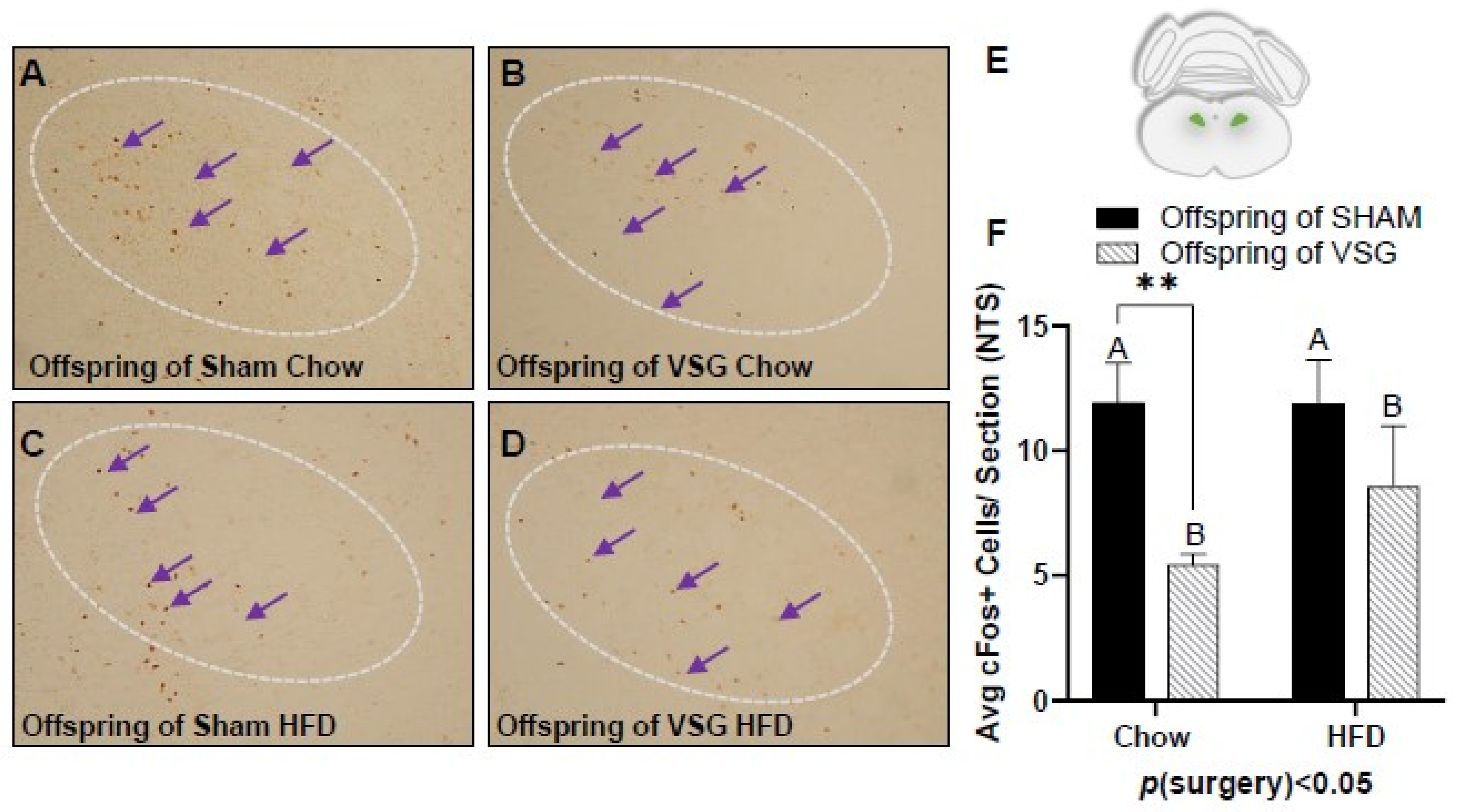 Brainsci 13 01218 g004