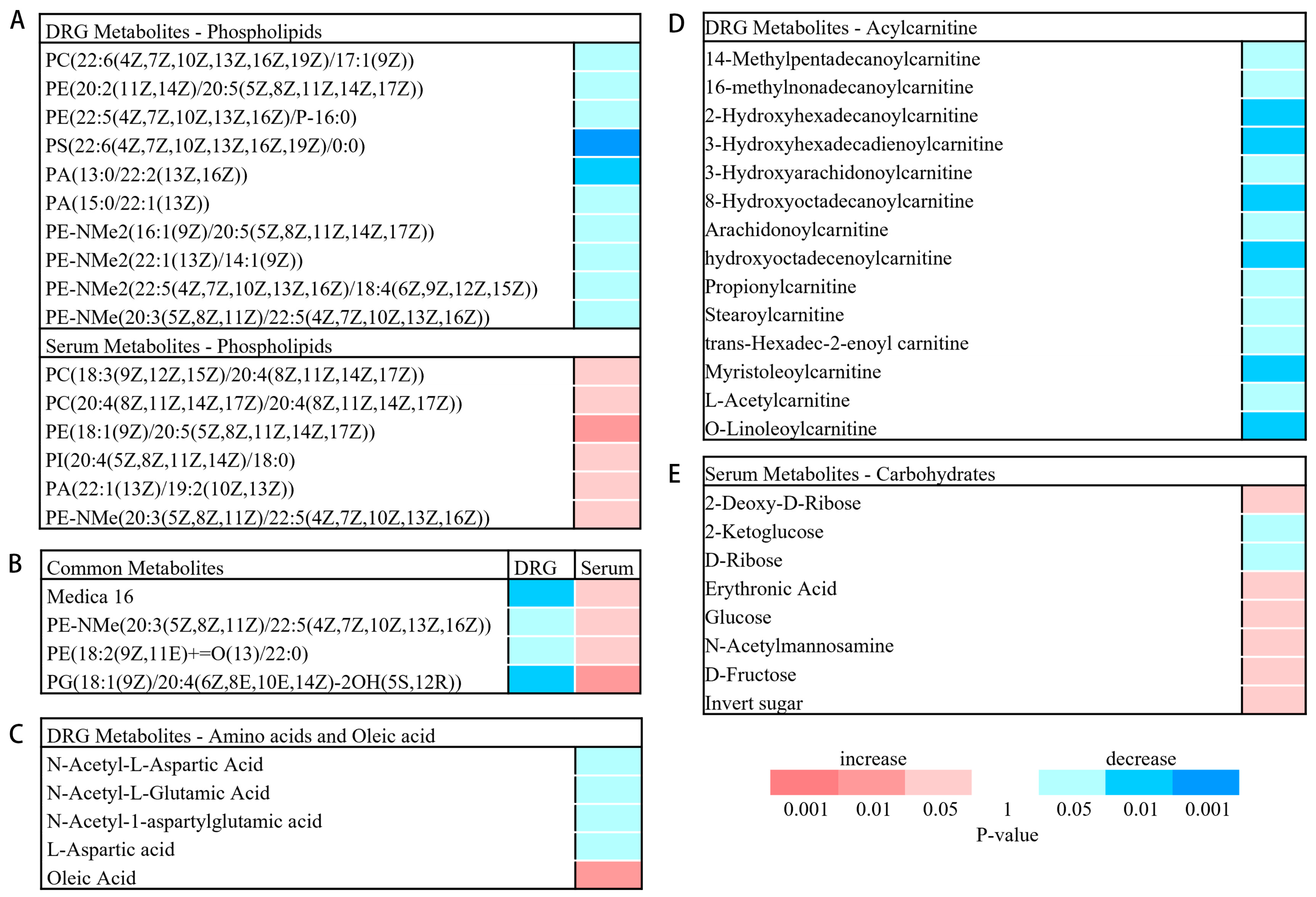 Brainsci 13 01224 g007 Brainsci 13 01224 g007