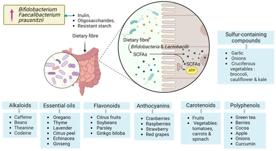 Emerging Paradigms in Inflammatory Disease Management Emerging Paradigms in Inflammatory Disease Management