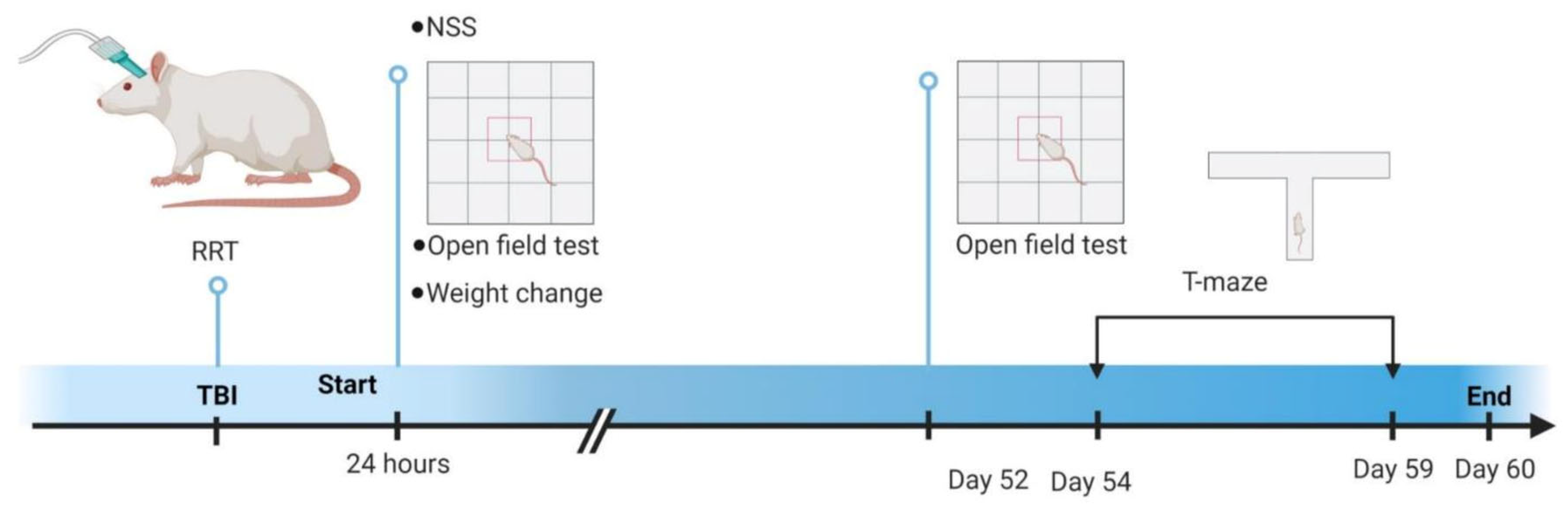 Brainsci 13 01230 g001 Brainsci 13 01230 g001