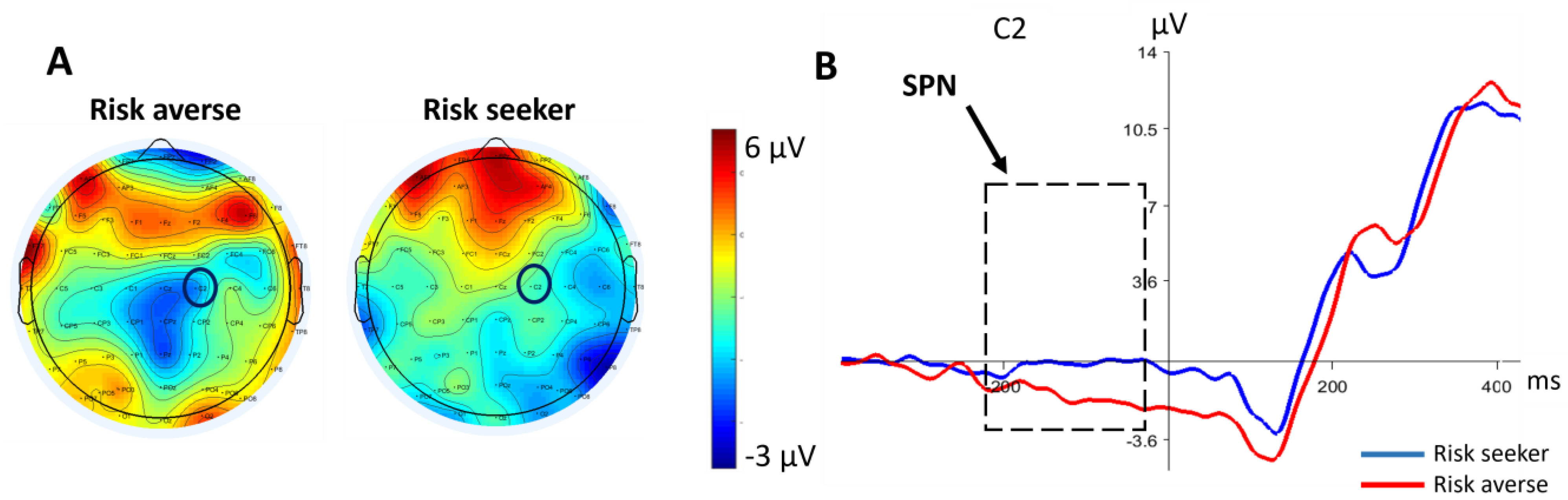 Brainsci 13 01235 g004 Brainsci 13 01235 g004