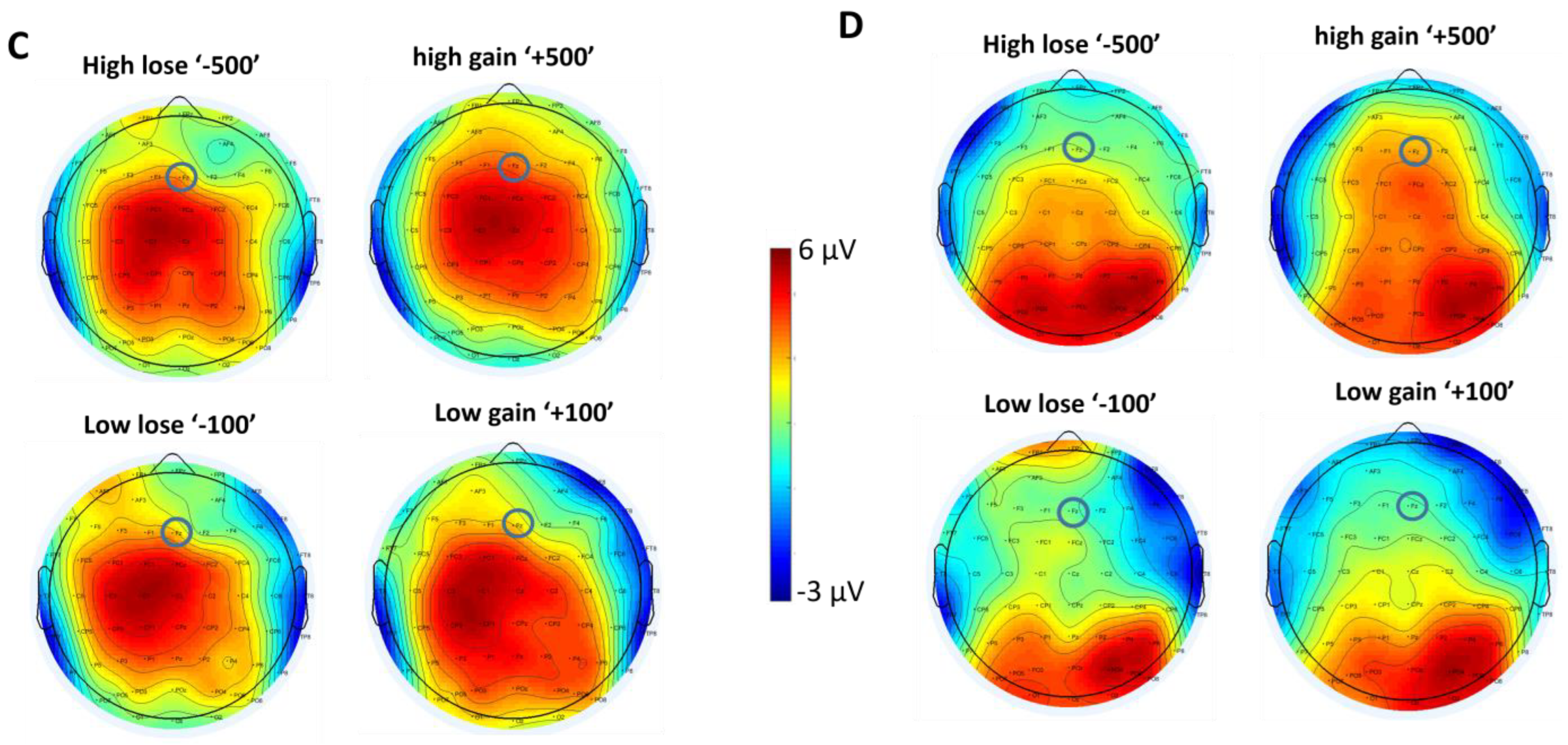 Brainsci 13 01235 g005b Brainsci 13 01235 g005b
