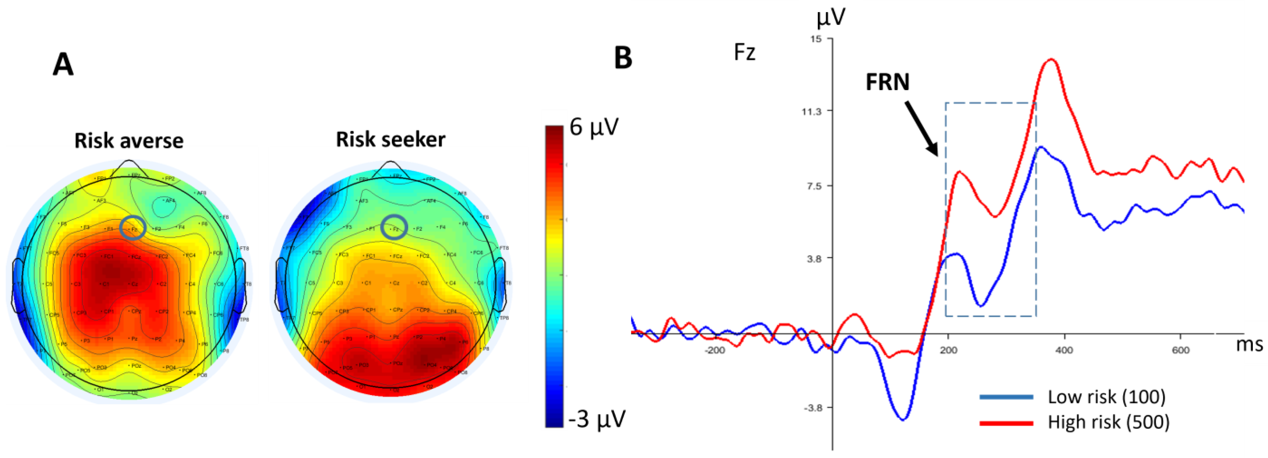 Brainsci 13 01235 g006 Brainsci 13 01235 g006