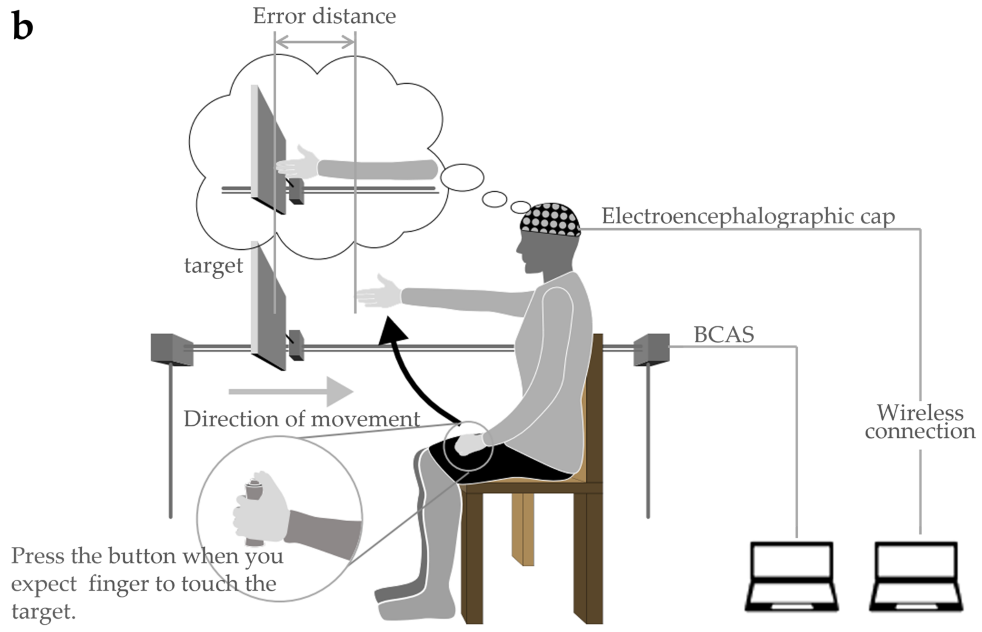 Brainsci 13 01237 g003b