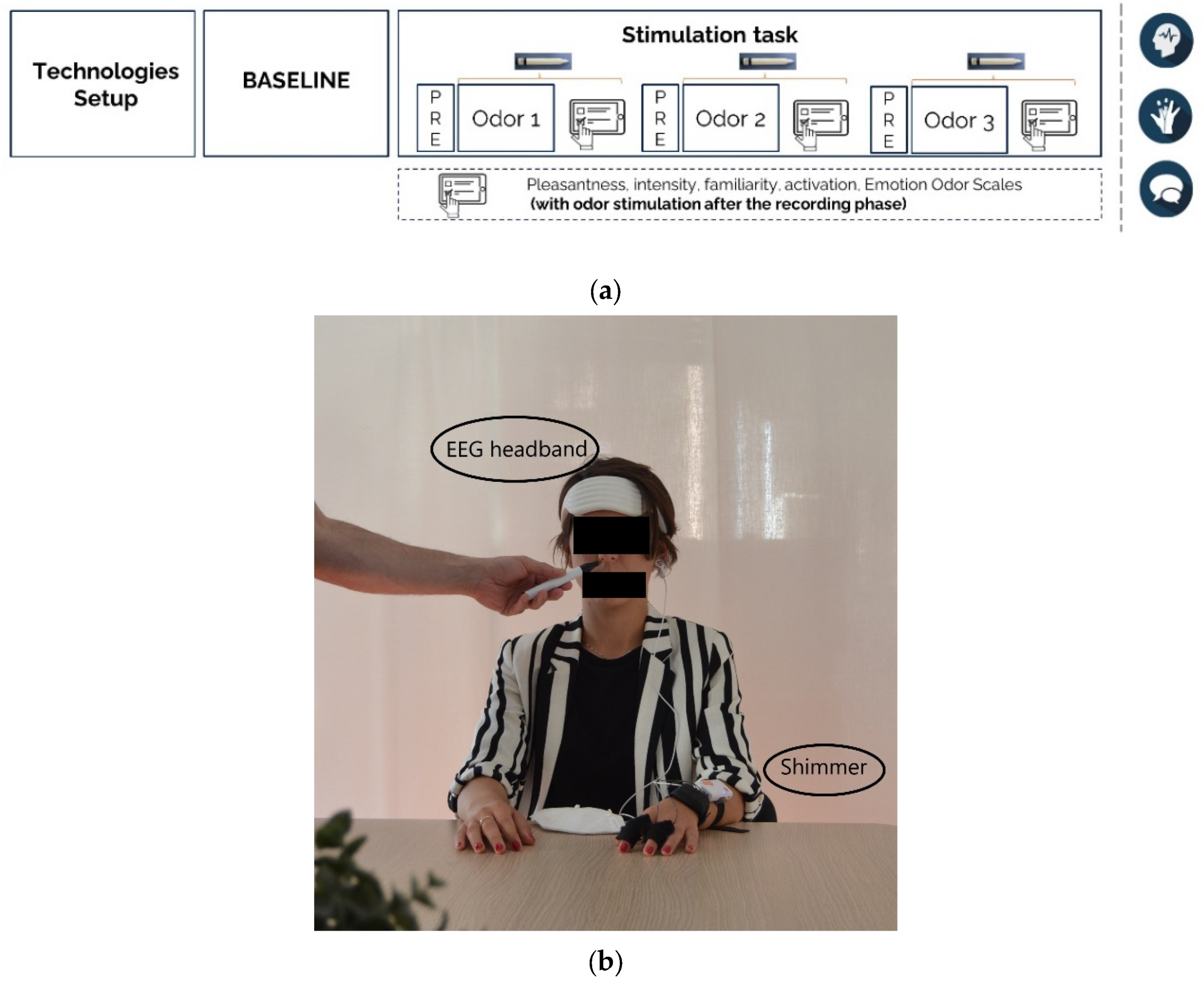 Brainsci 13 01242 g001