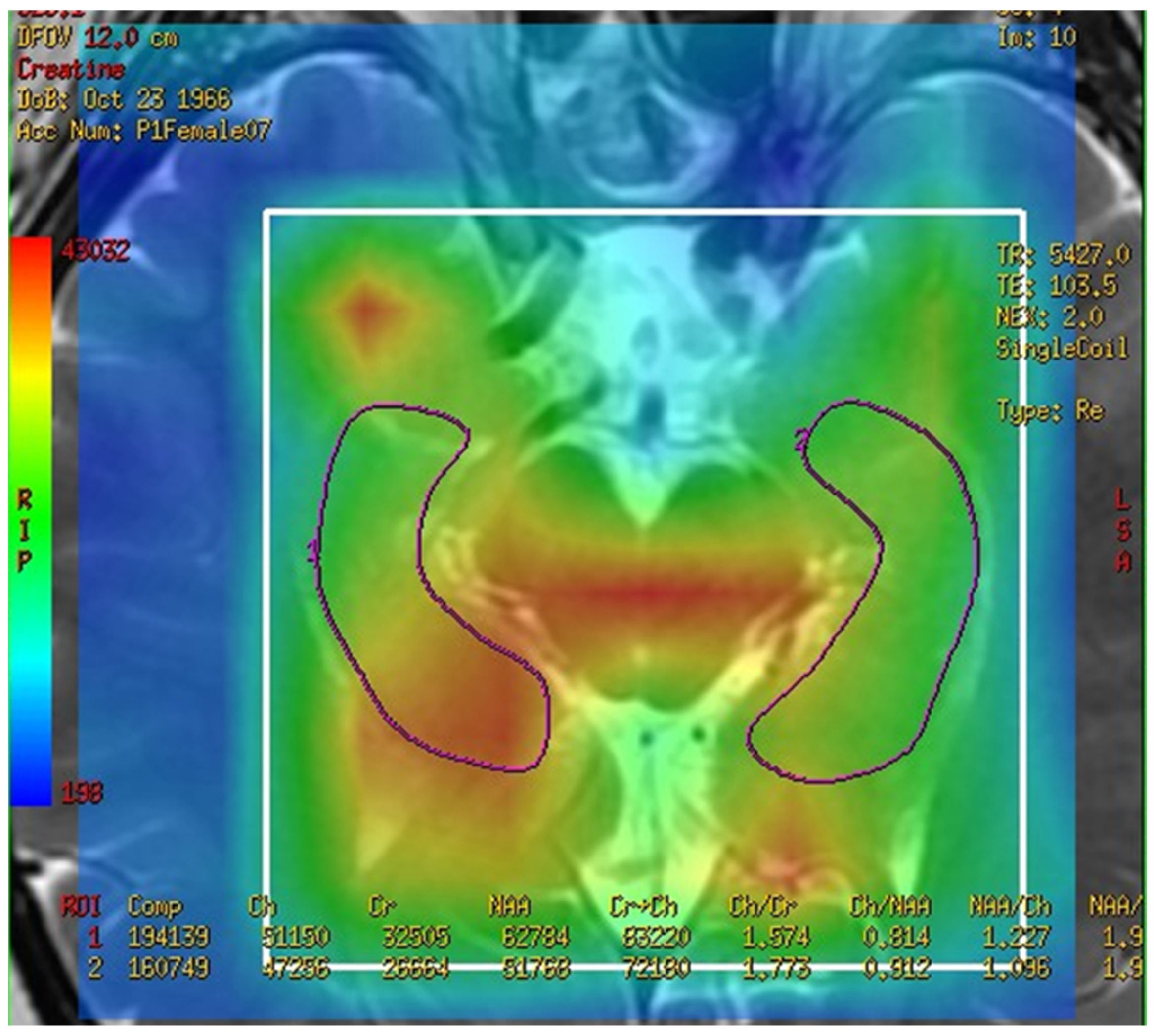 Brainsci 13 01244 g001 Brainsci 13 01244 g001
