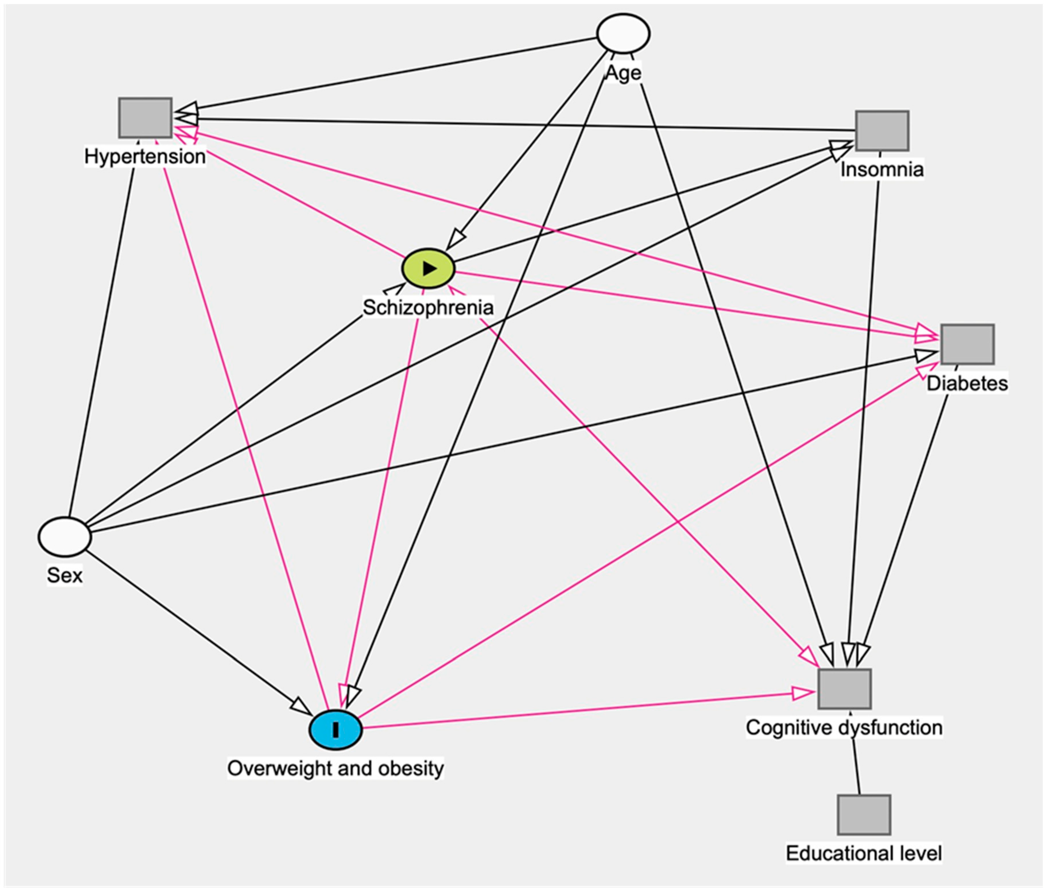 Brainsci 13 01245 g001