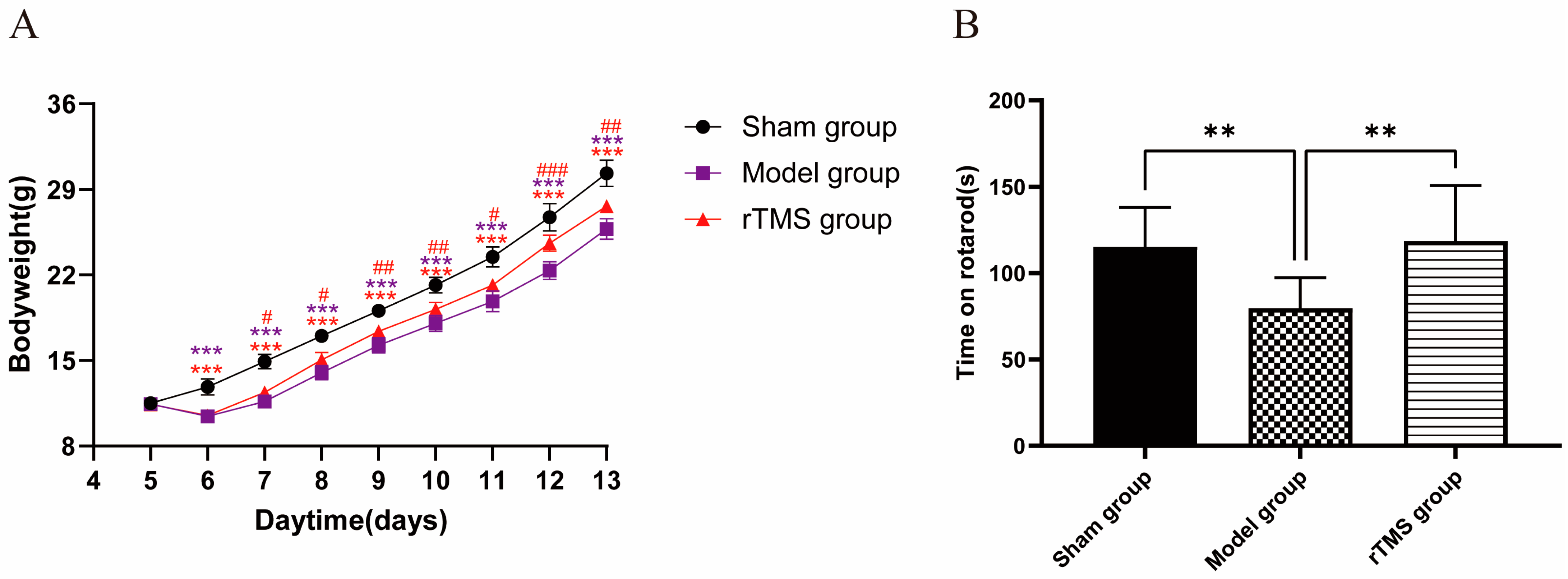 Brainsci 13 01252 g002