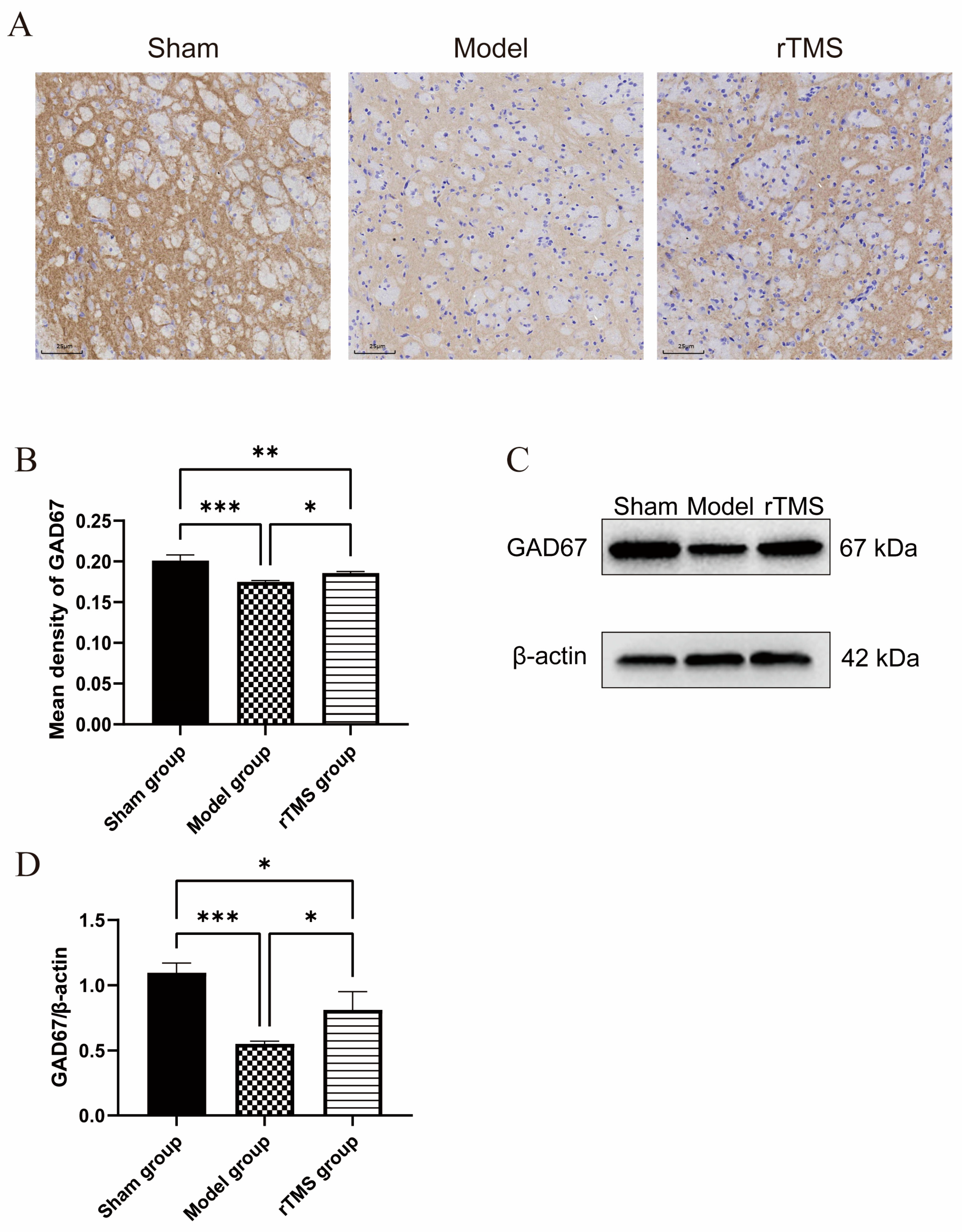 Brainsci 13 01252 g003