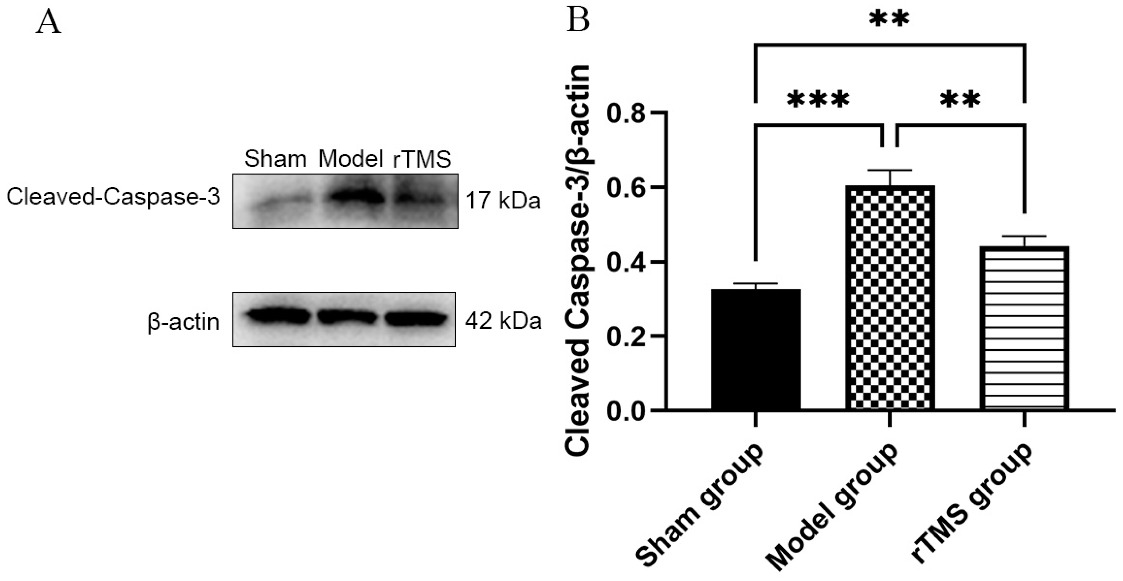 Brainsci 13 01252 g004