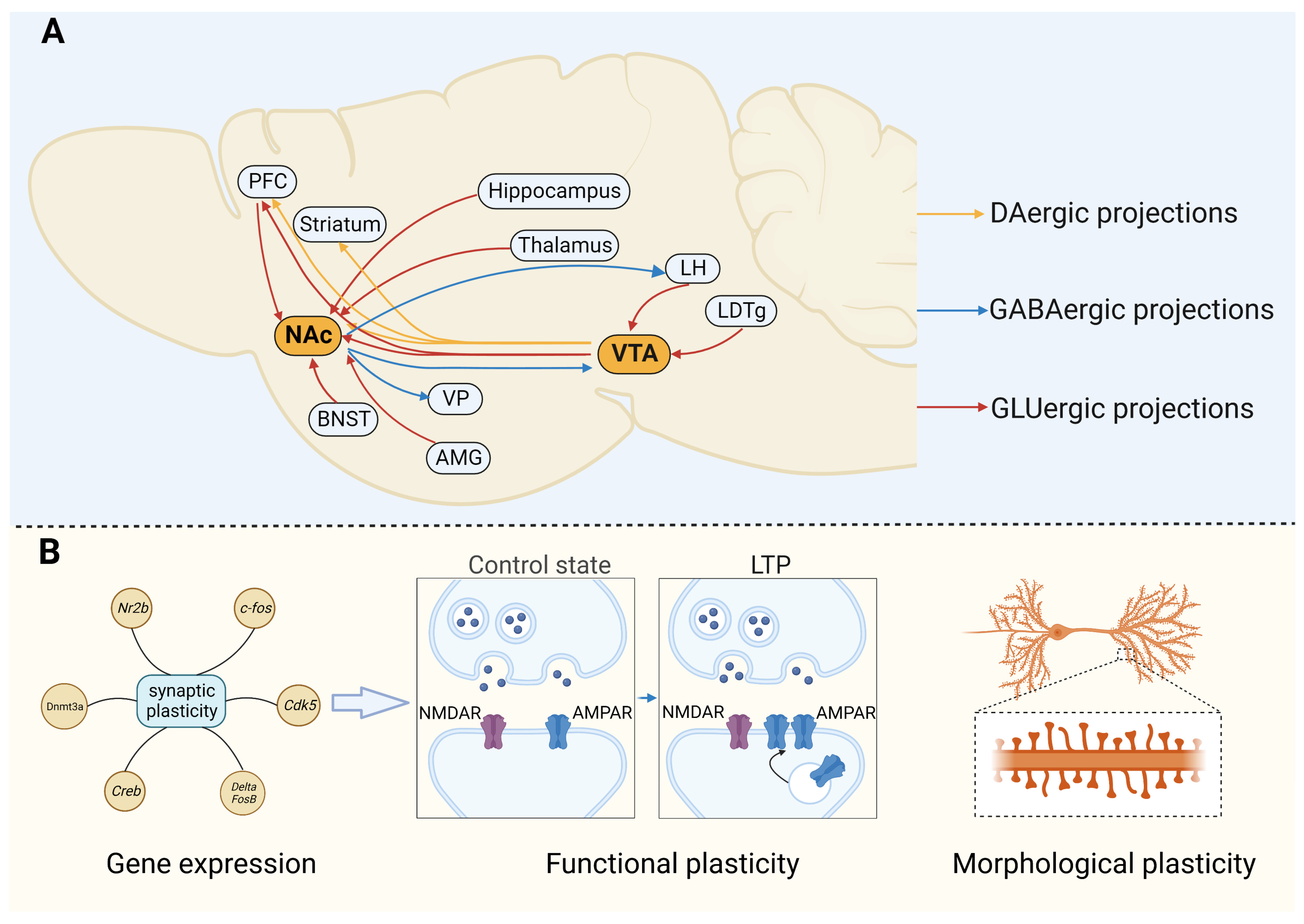 Brainsci 13 01259 g001 Brainsci 13 01259 g001