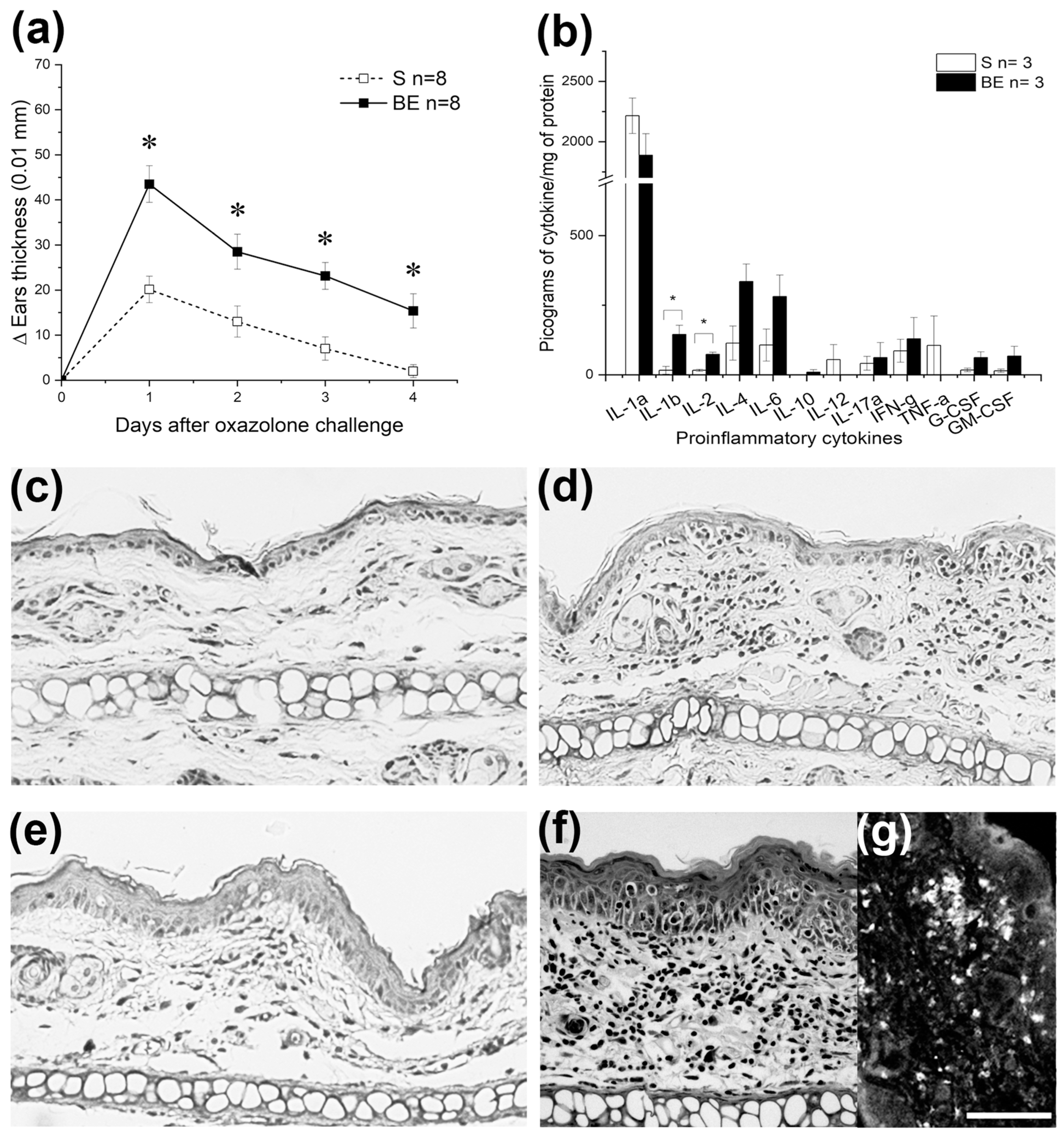 Brainsci 13 01261 g001 Brainsci 13 01261 g001