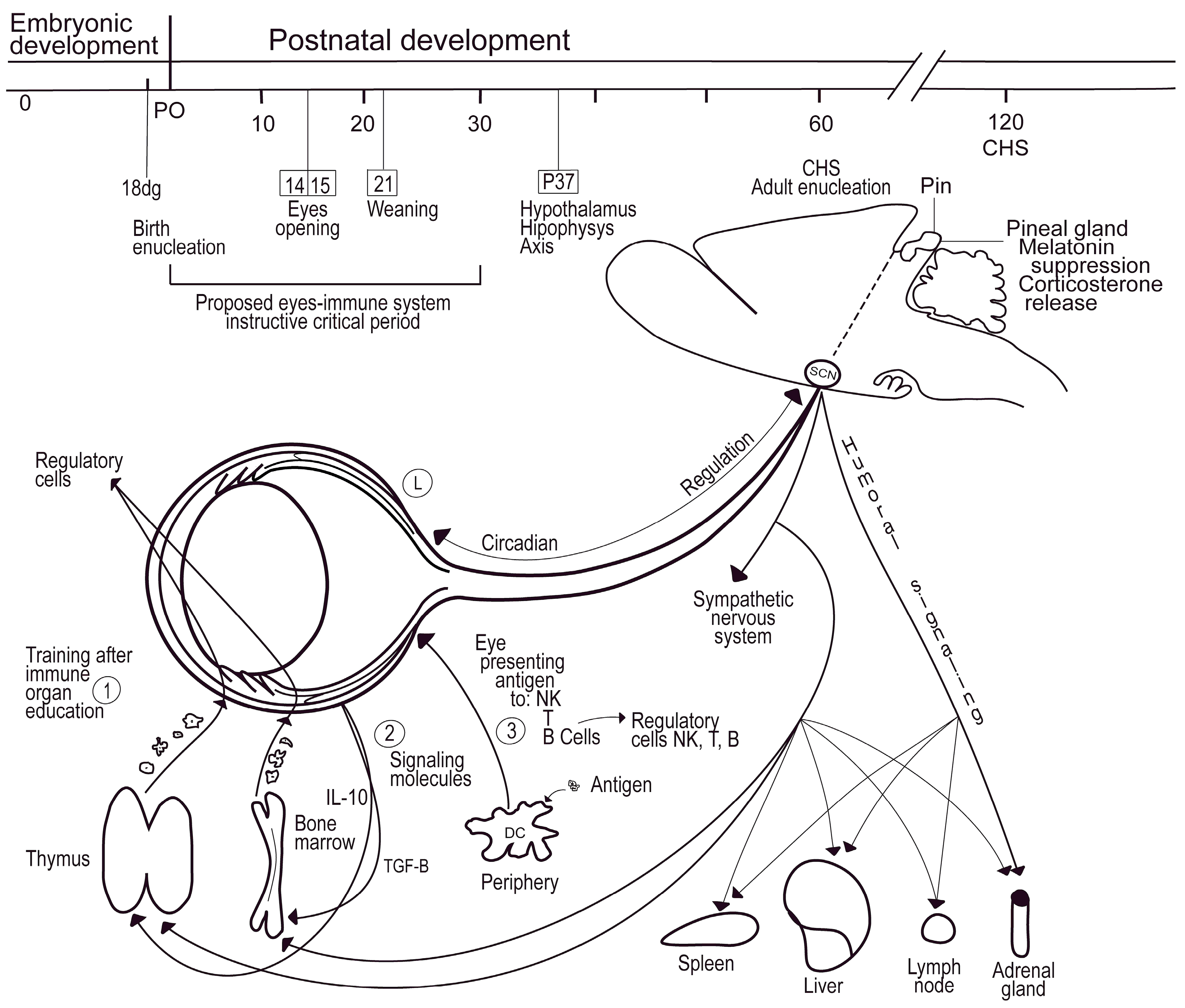 Brainsci 13 01261 g008 Brainsci 13 01261 g008