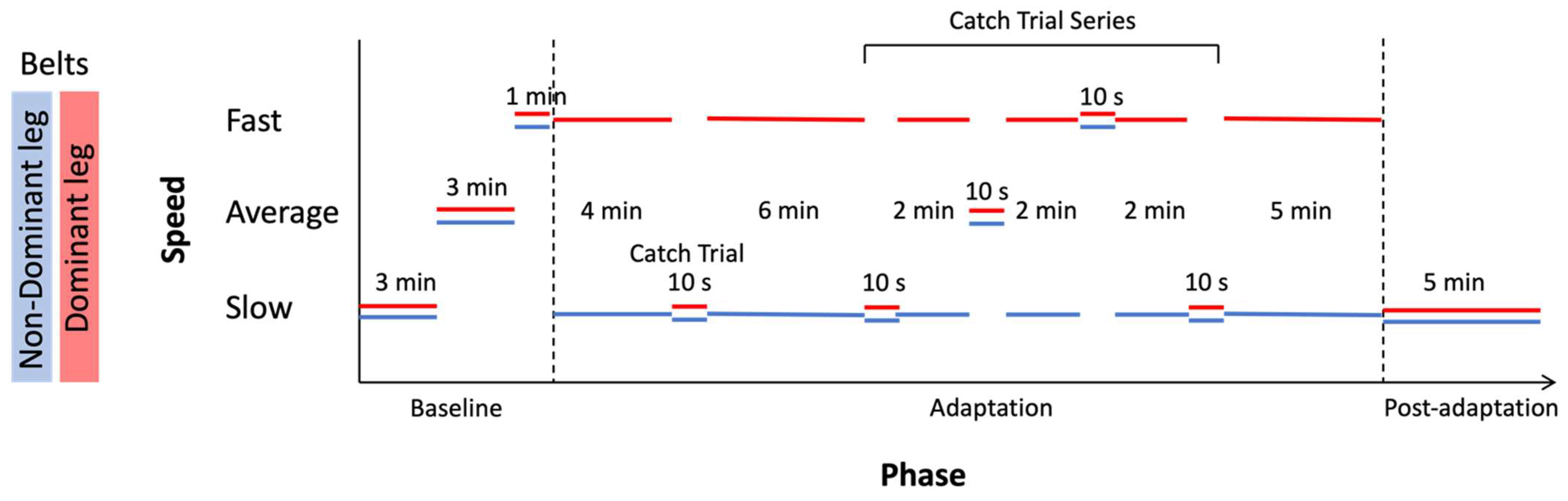 Brainsci 13 01266 g001