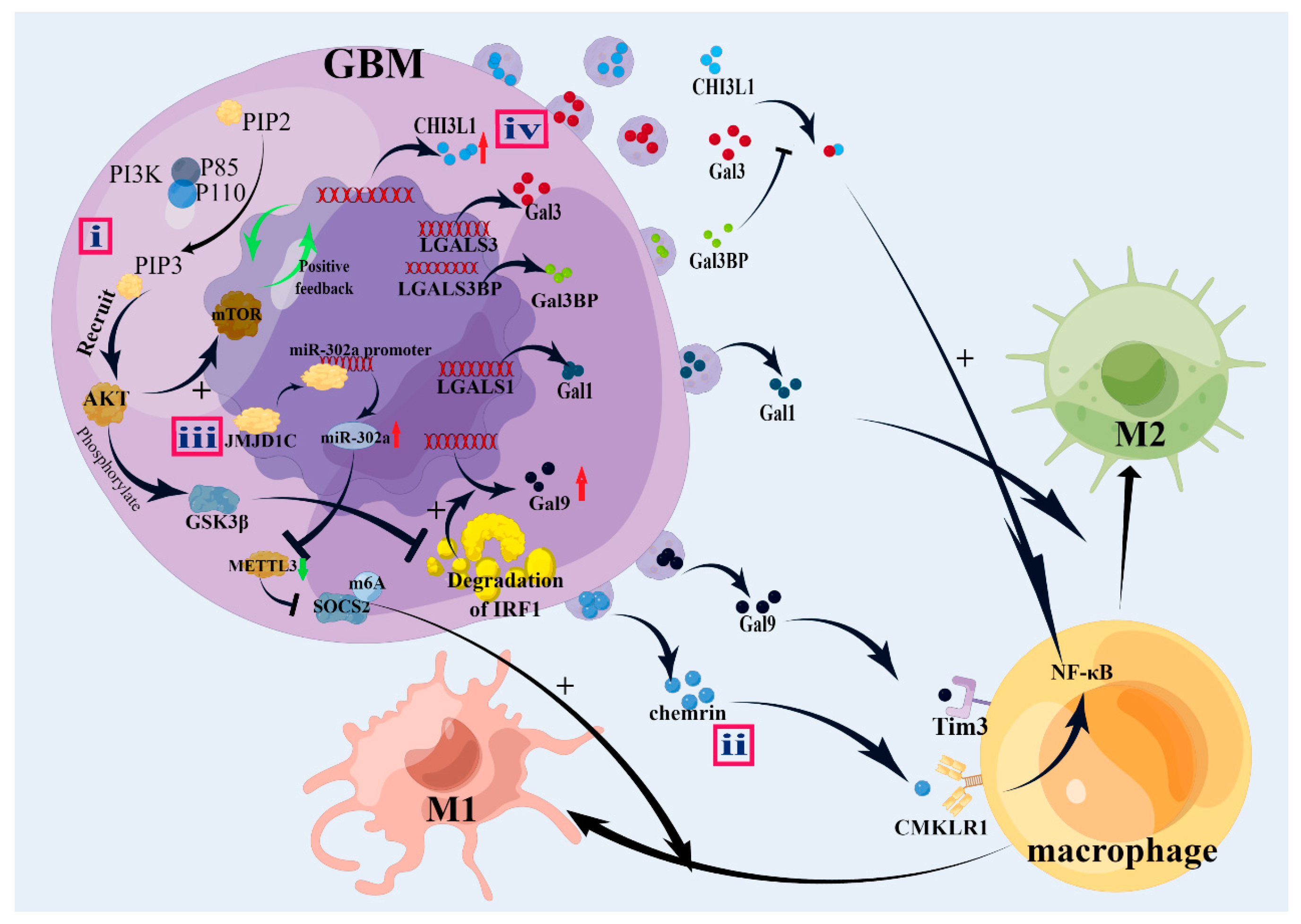 Brainsci 13 01269 g002