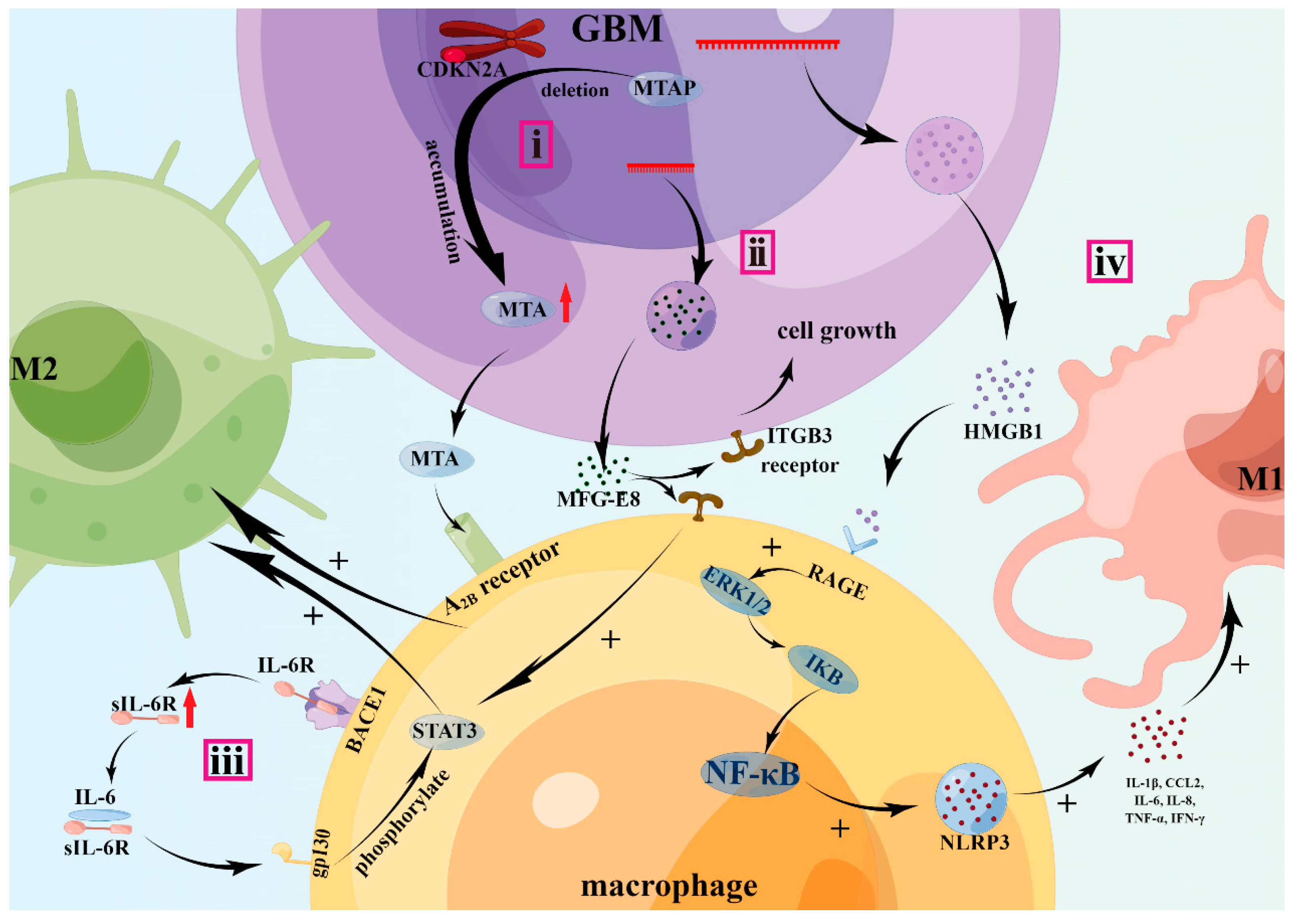 Brainsci 13 01269 g003