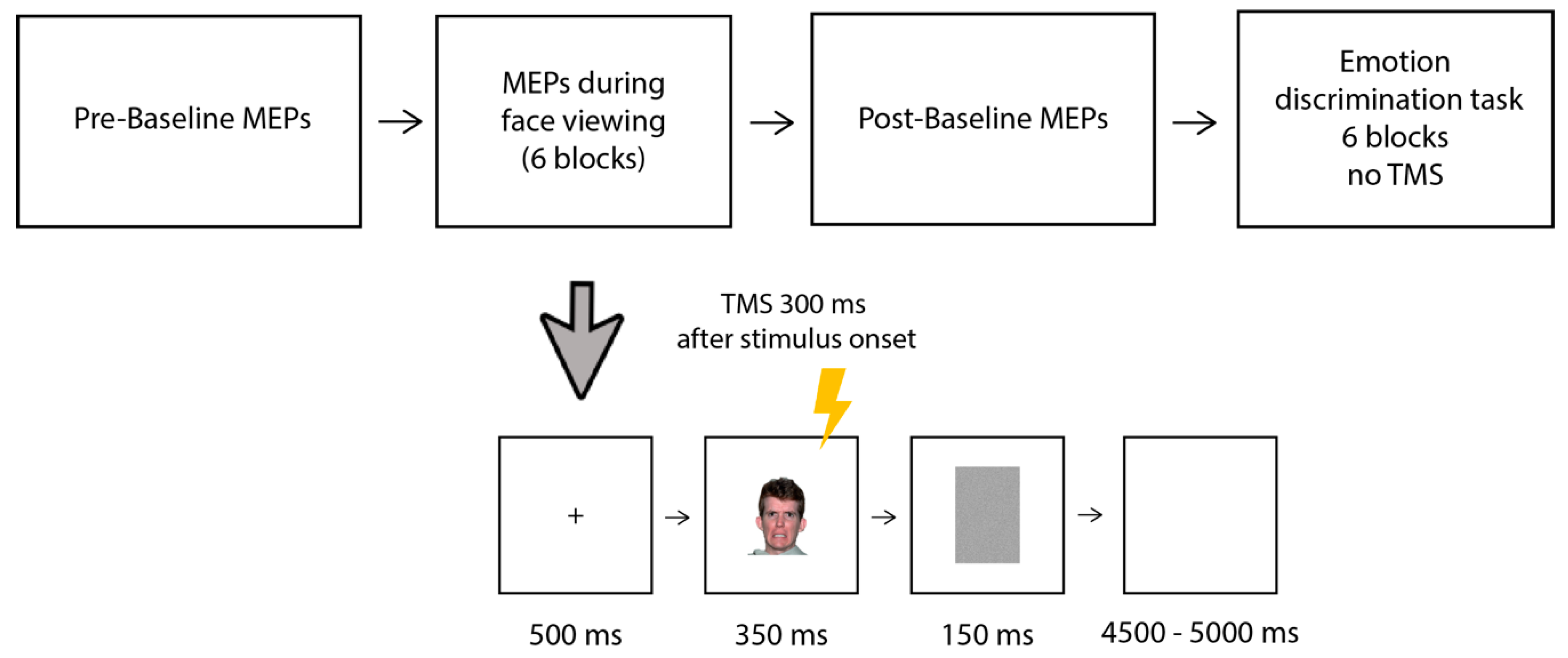 Brainsci 13 01291 g001