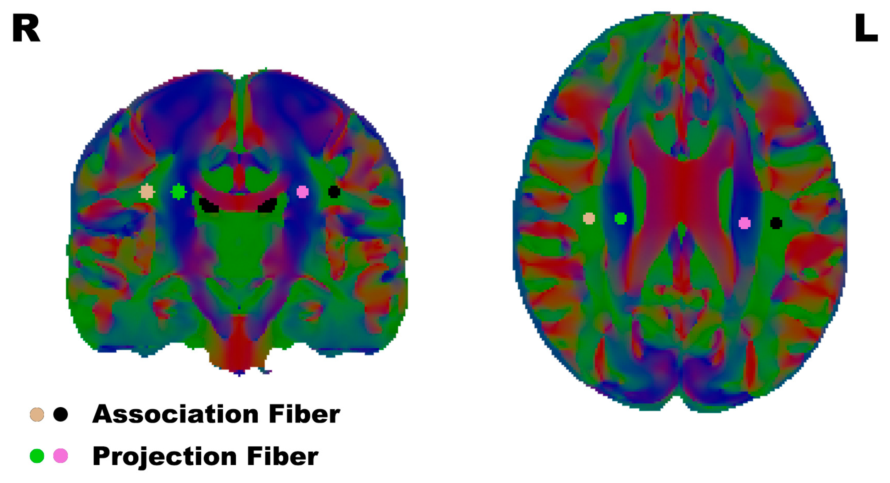 Brainsci 13 01292 g001